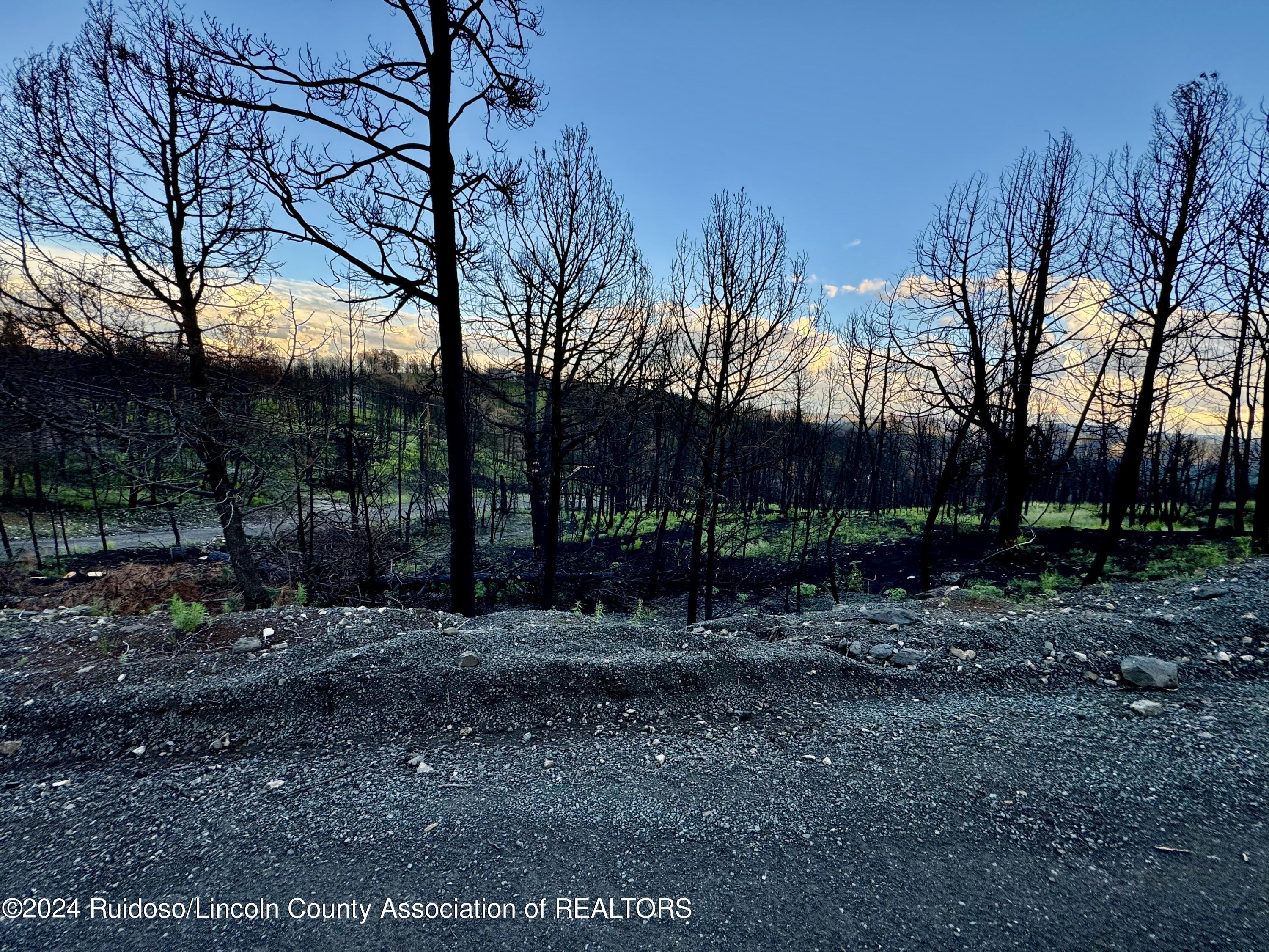 L17 Mount Hood, Ruidoso, New Mexico image 2