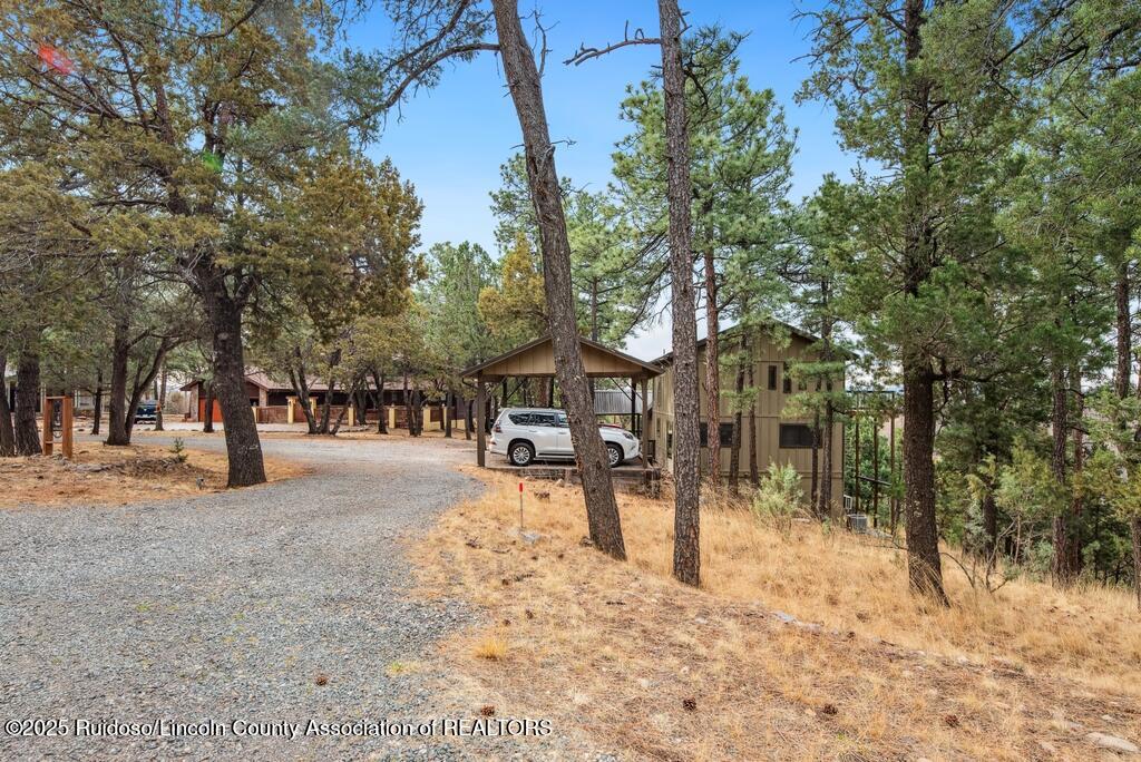 148 Buena Vista Drive, Alto, New Mexico image 25