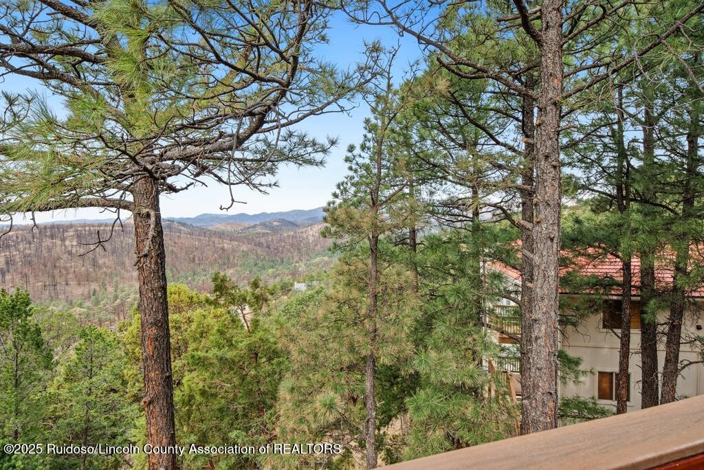 148 Buena Vista Drive, Alto, New Mexico image 20