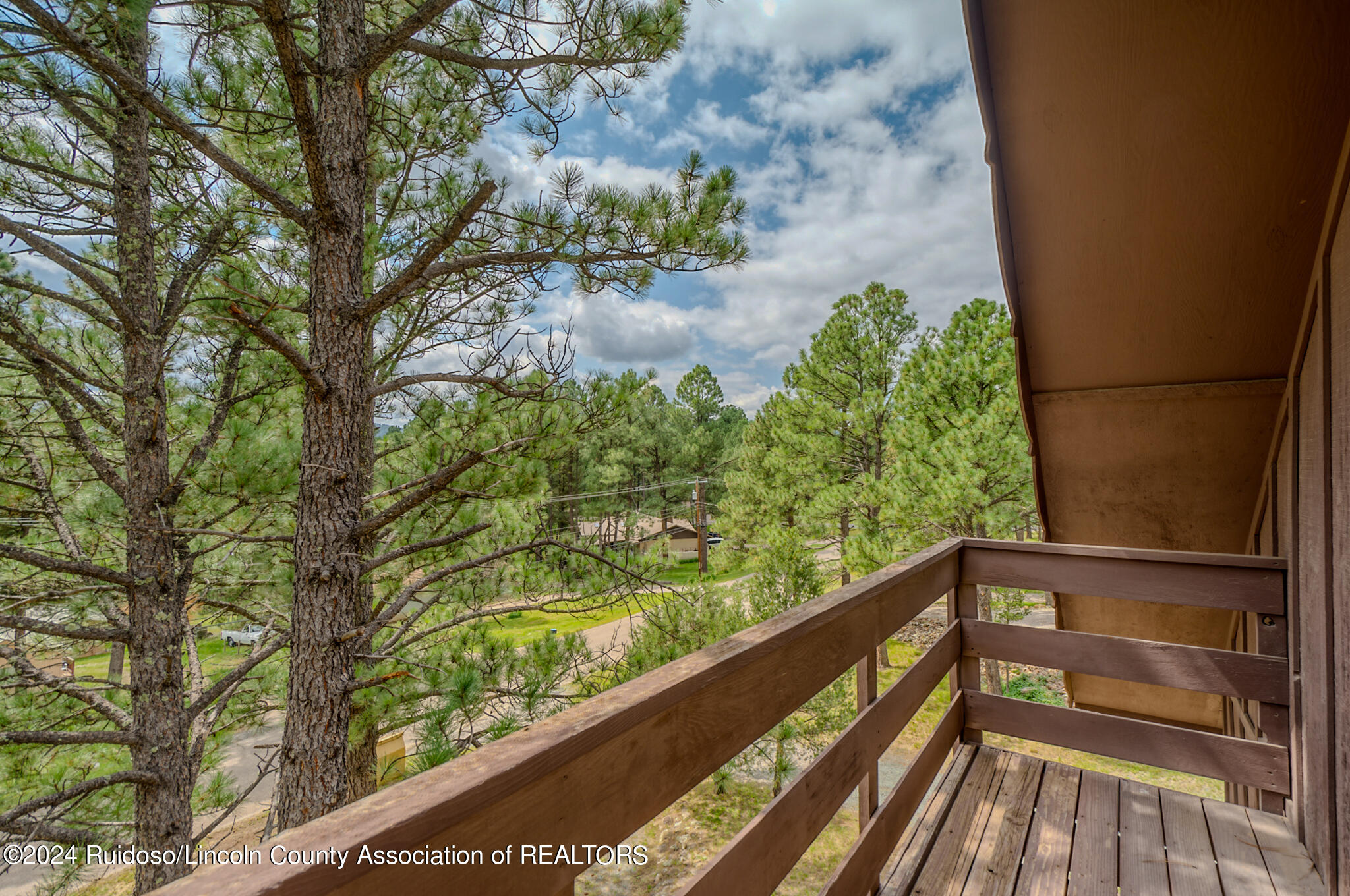 205 Heath Drive, Ruidoso, New Mexico image 48