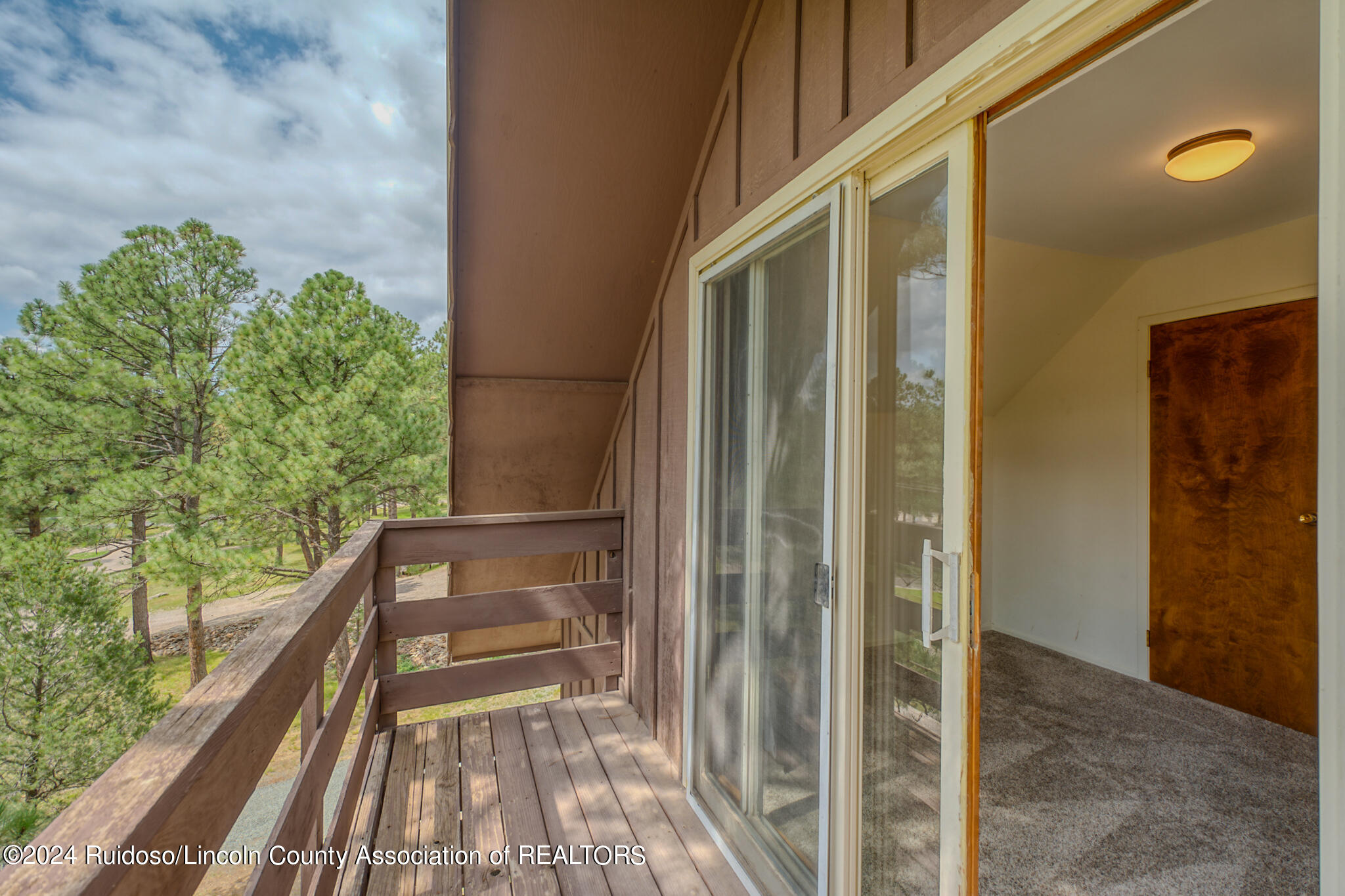 205 Heath Drive, Ruidoso, New Mexico image 49