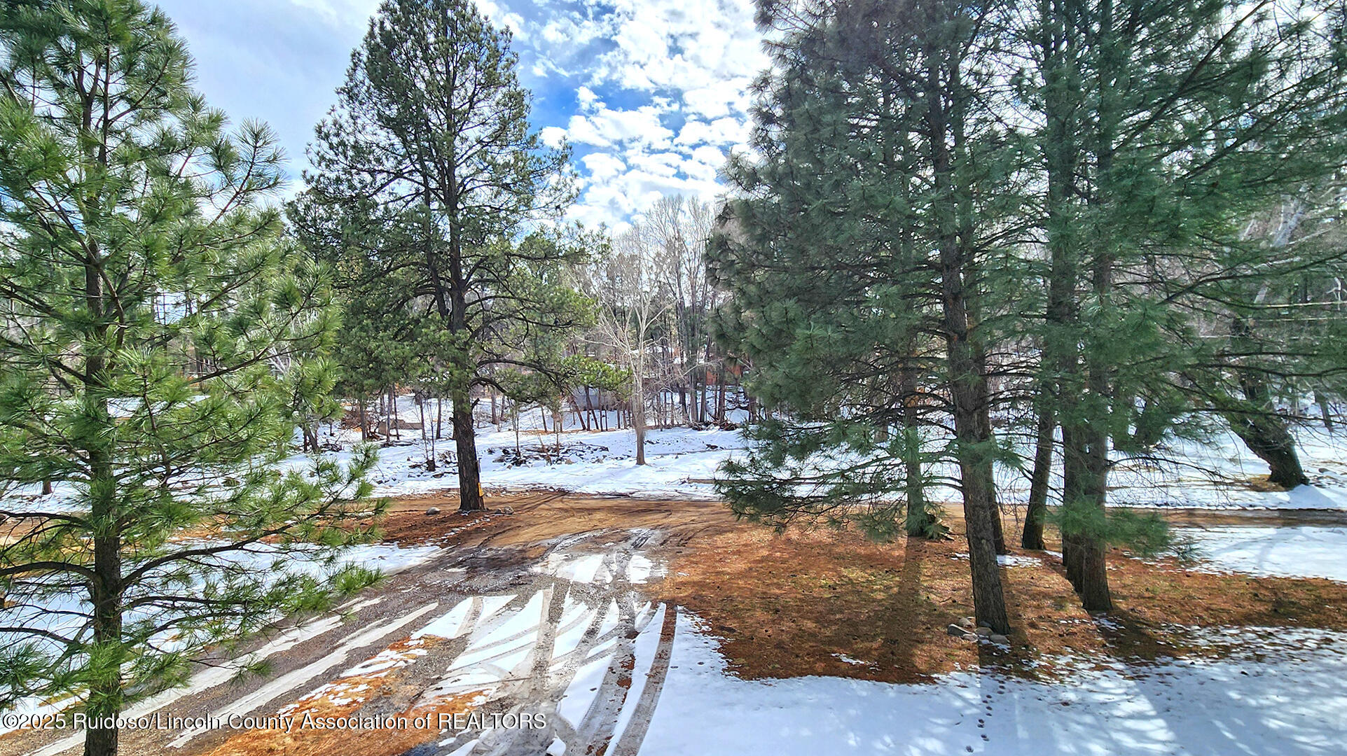 157 Fern Trail, Ruidoso, New Mexico image 50