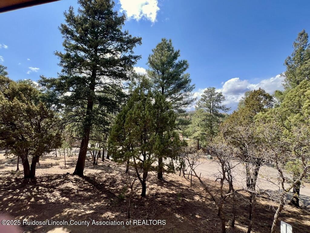 129 Alto Alps Road, Alto, New Mexico image 24