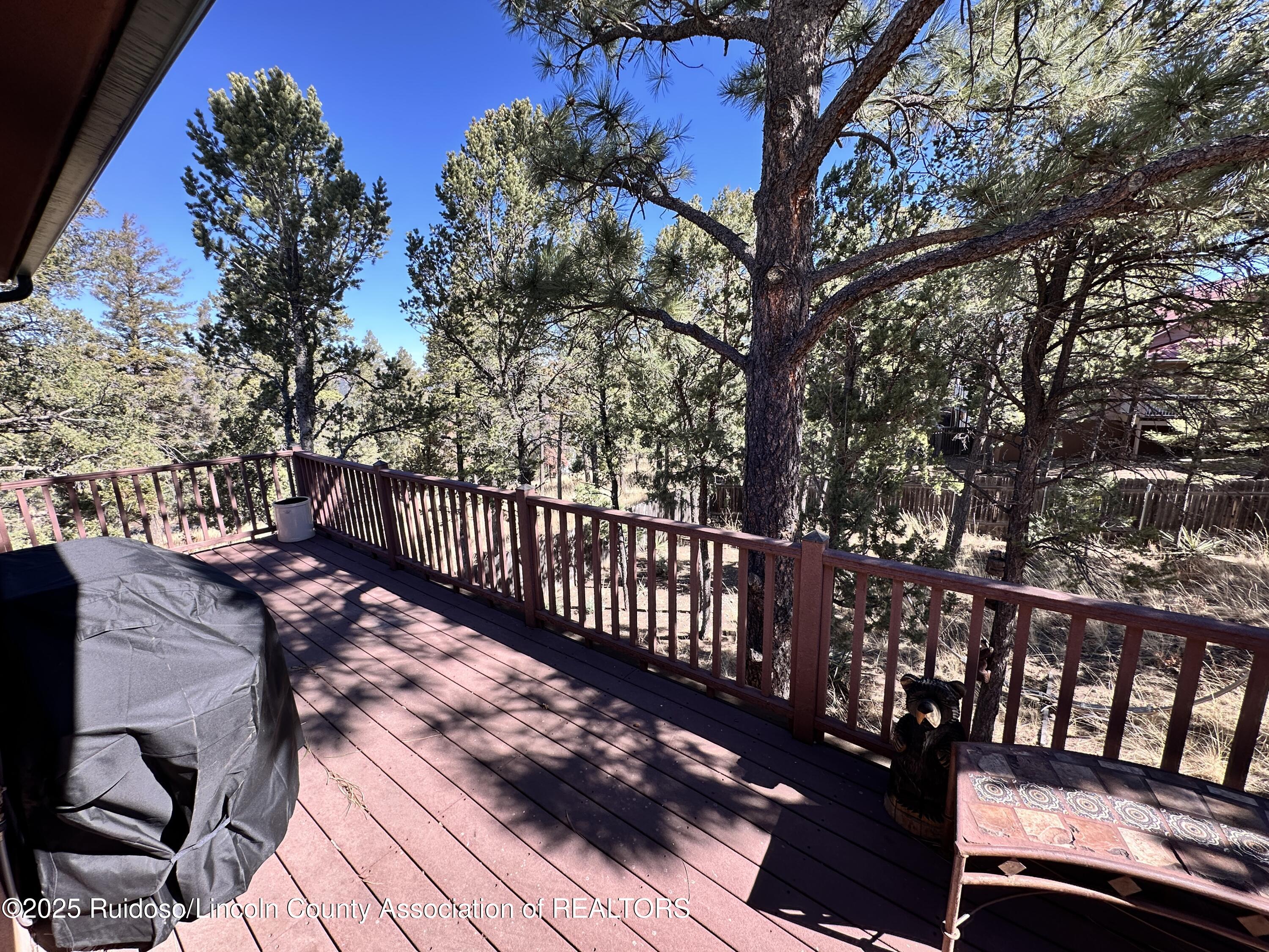 231 Excalibur Road, Ruidoso, New Mexico image 44