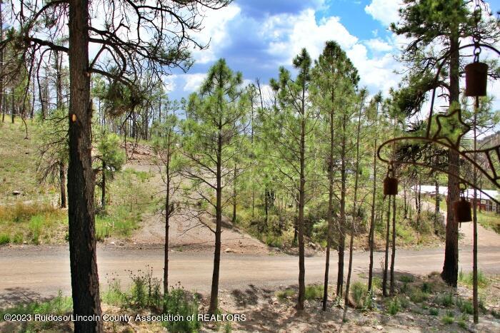 Ruidoso, New Mexico 88345, United States, 3 Bedrooms Bedrooms, ,2 BathroomsBathrooms,Residential,Pending,72127
