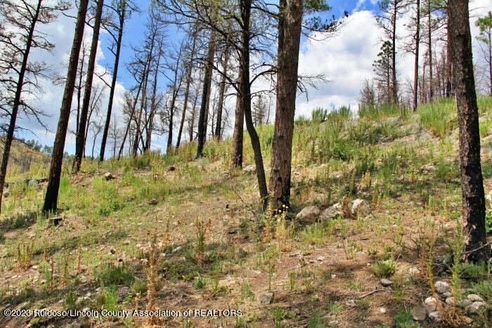 Ruidoso, New Mexico 88345, United States, 3 Bedrooms Bedrooms, ,2 BathroomsBathrooms,Residential,Pending,72127