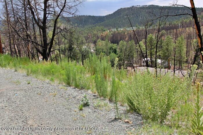 Ruidoso, New Mexico 88345, United States, 3 Bedrooms Bedrooms, ,2 BathroomsBathrooms,Residential,Pending,72127