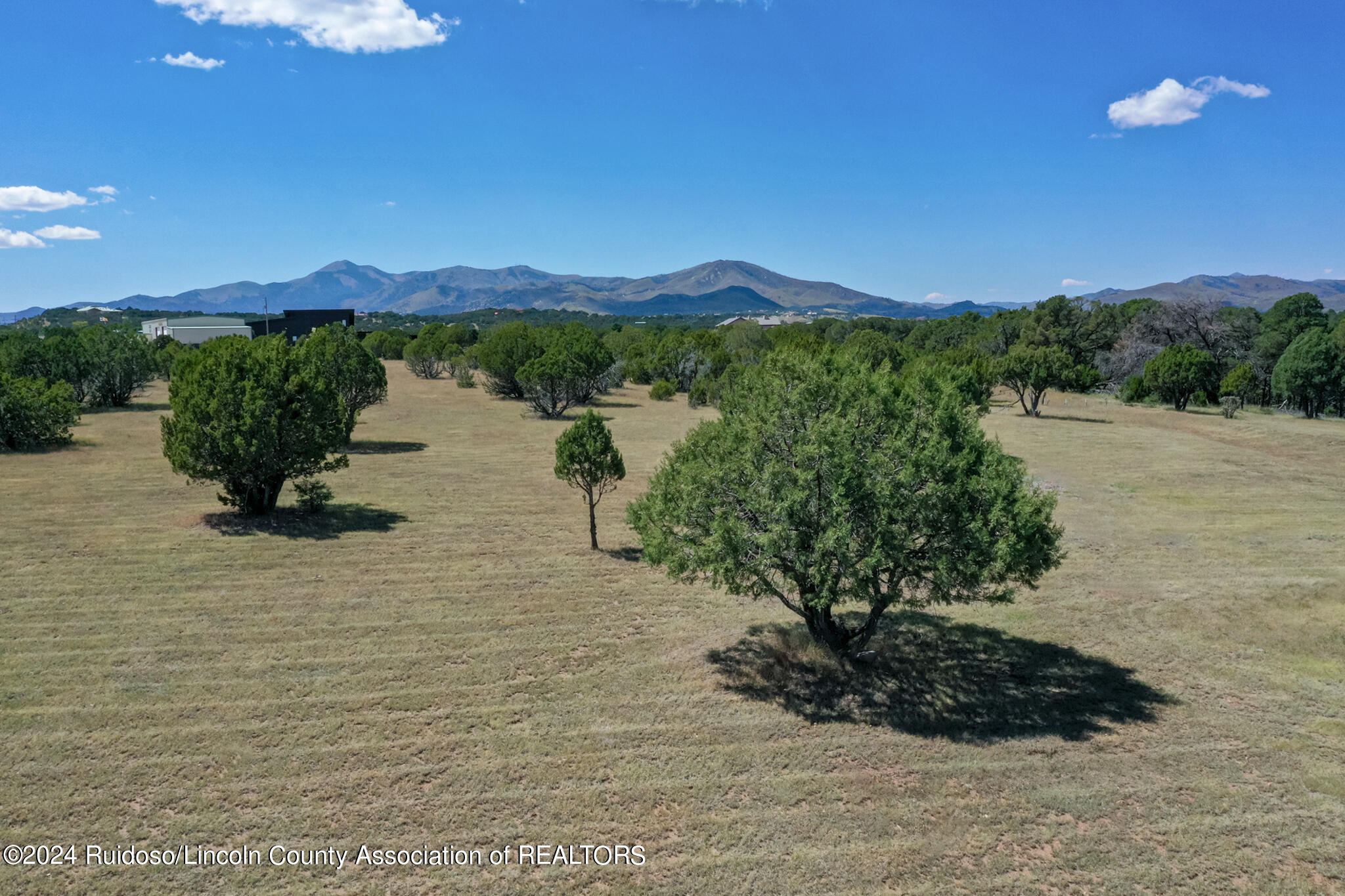 107 Caprock Court #1, Alto, New Mexico image 46