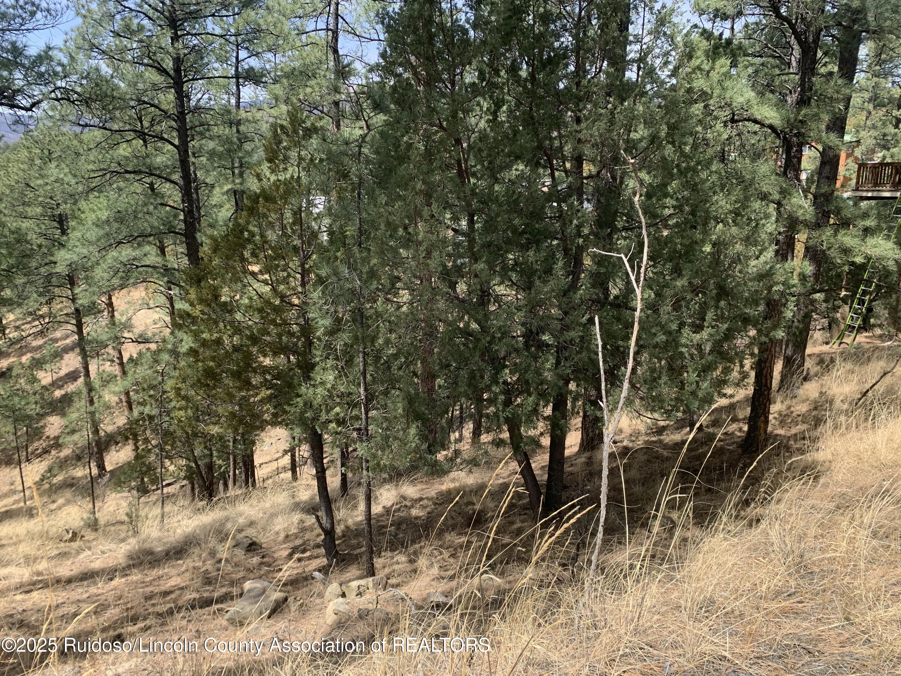 104 Quince Circle, Ruidoso, New Mexico image 3