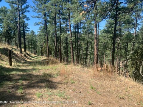 Vacant Land For Sale - 104 Quince Circle<br/> Lincoln County, Ruidoso, NM 88345