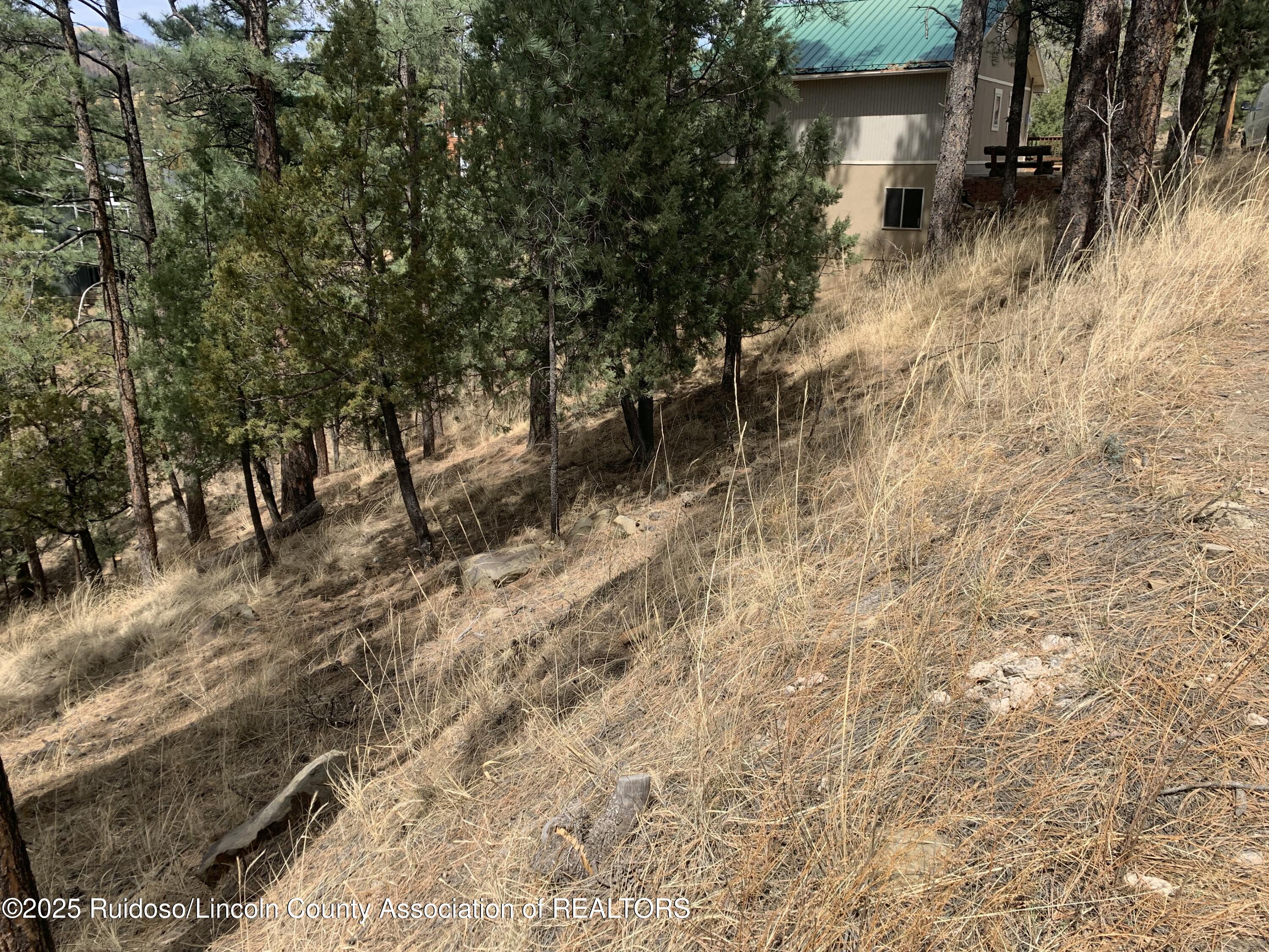 104 Quince Circle, Ruidoso, New Mexico image 5