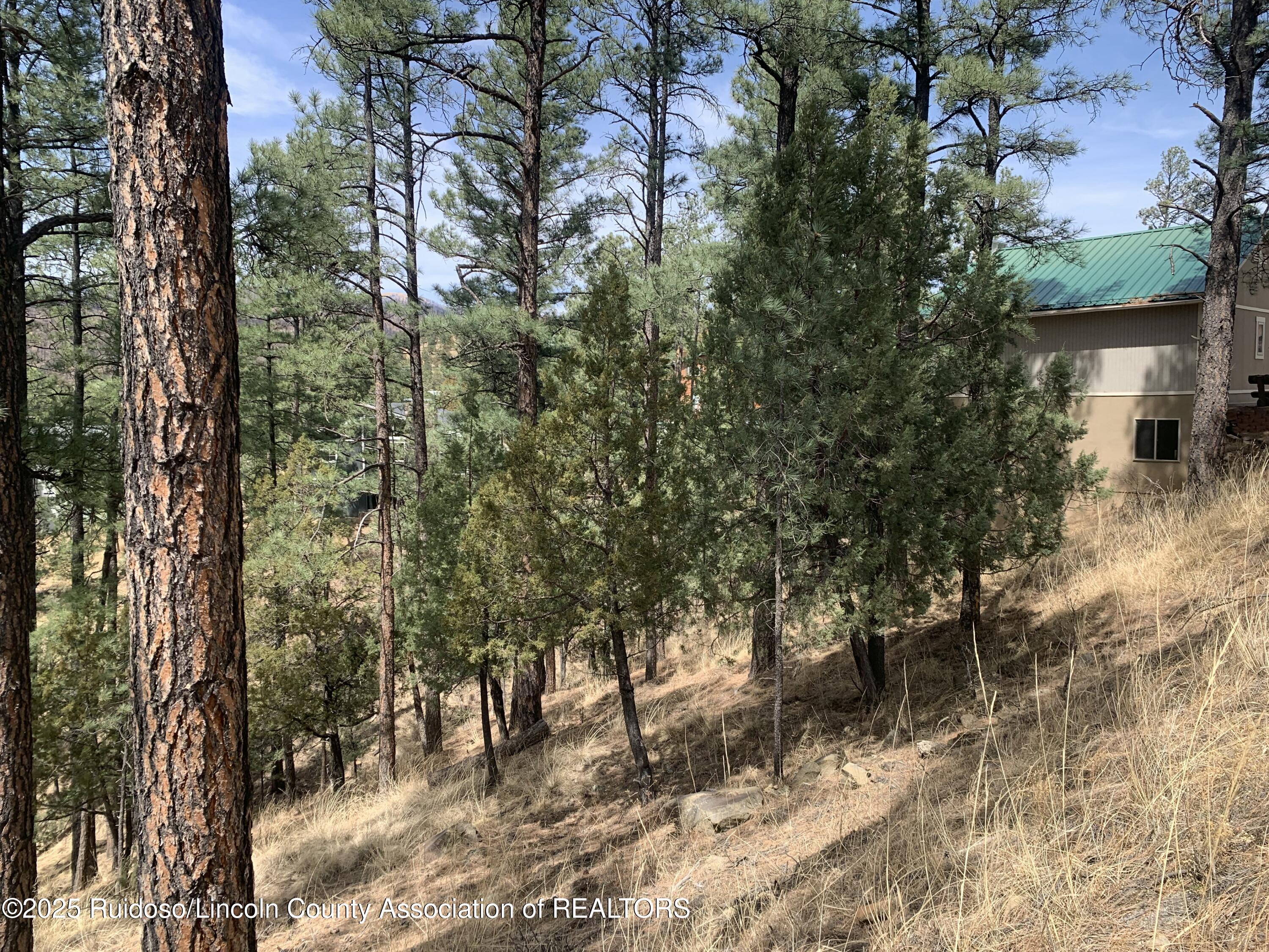 104 Quince Circle, Ruidoso, New Mexico image 4