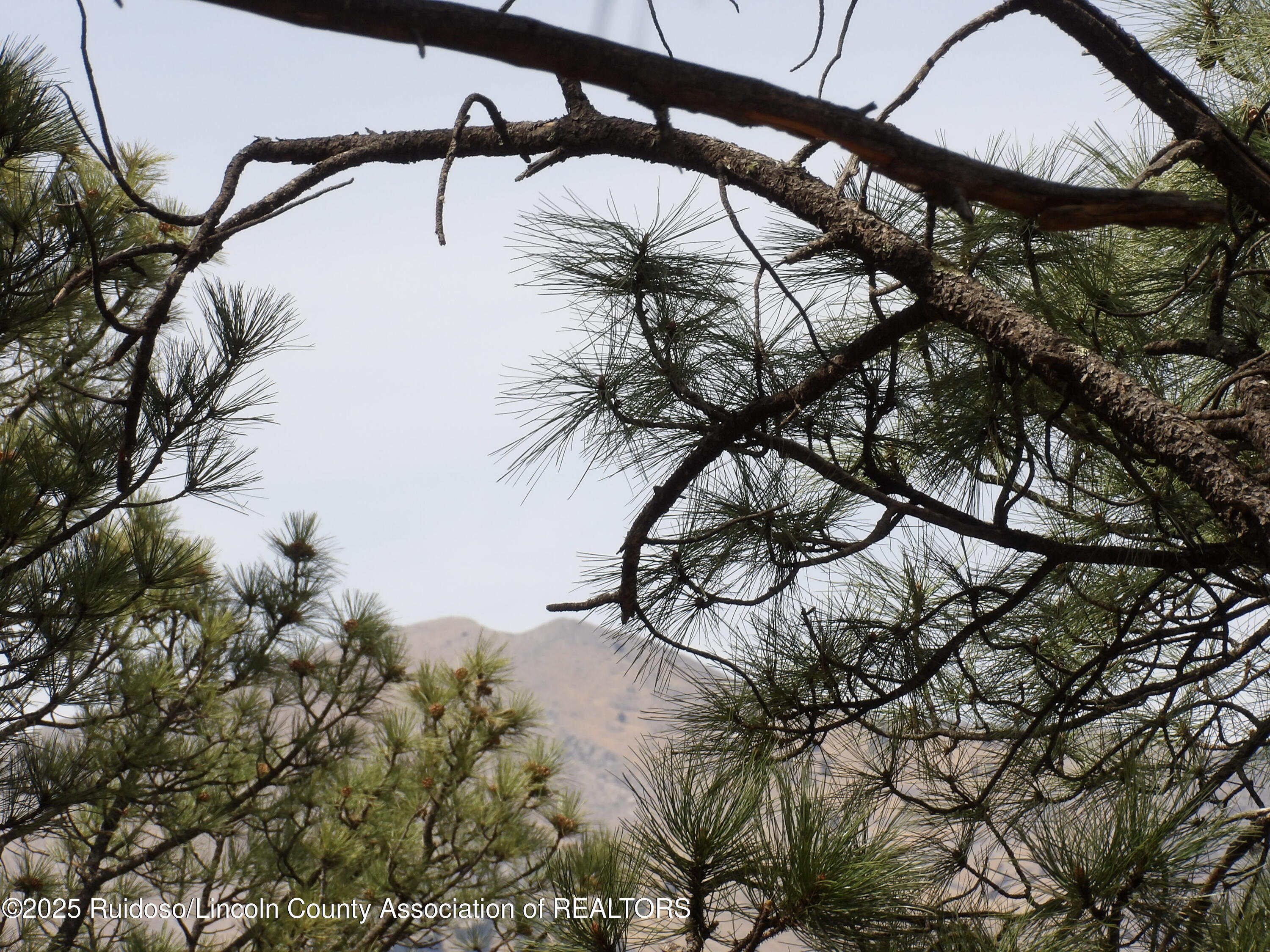 104 Quince Circle, Ruidoso, New Mexico image 2