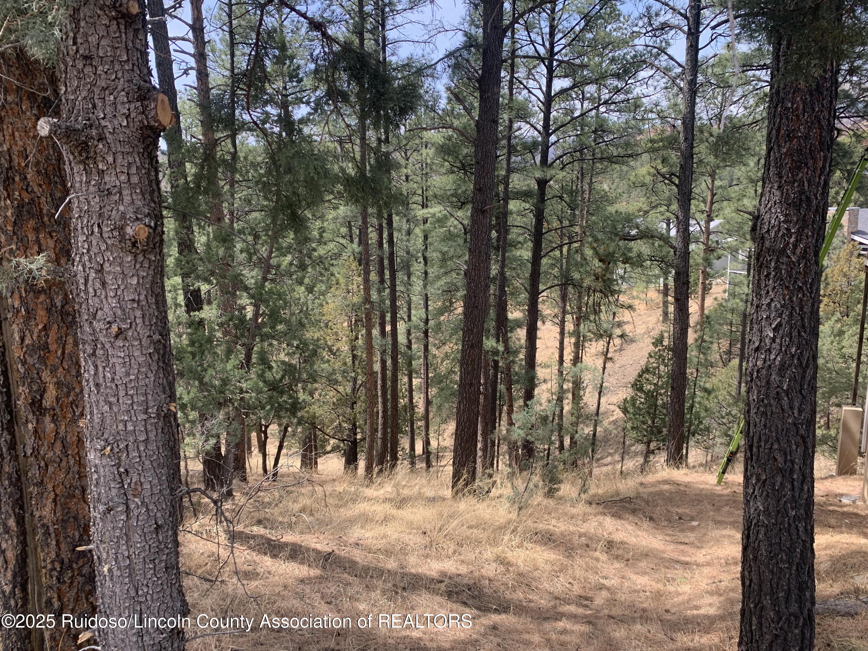 104 Quince Circle, Ruidoso, New Mexico image 6