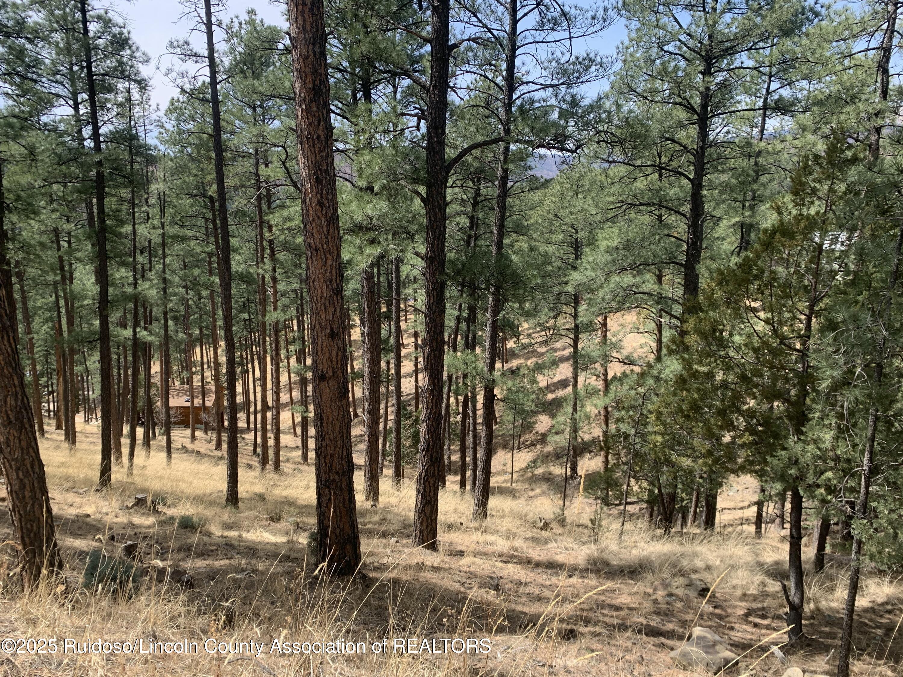 104 Quince Circle, Ruidoso, New Mexico image 1