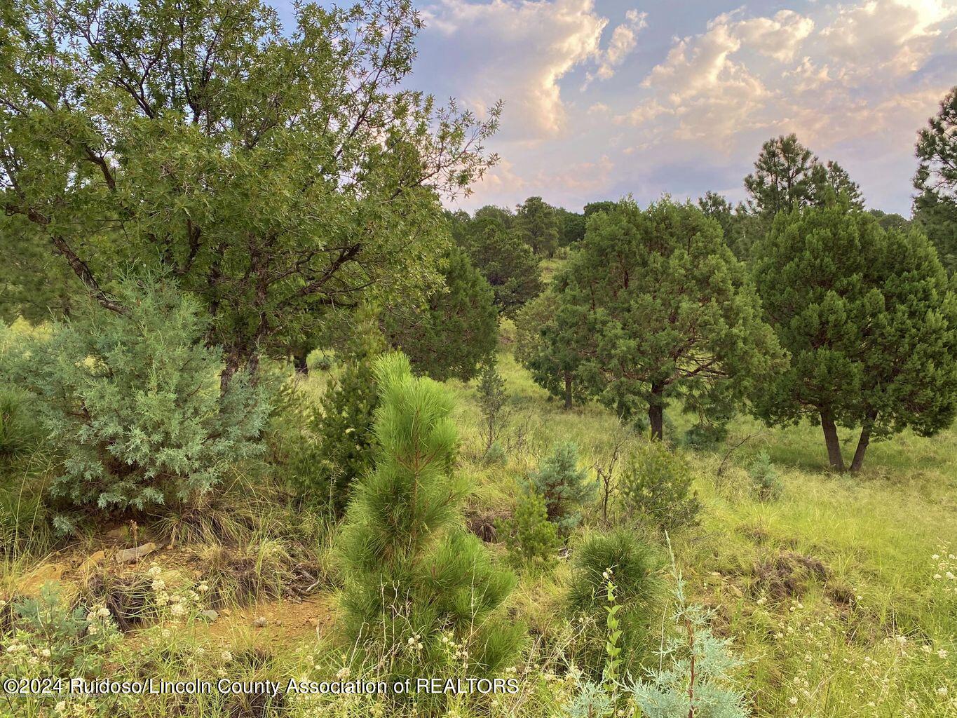 104 Sundance Drive, Ruidoso, New Mexico image 6