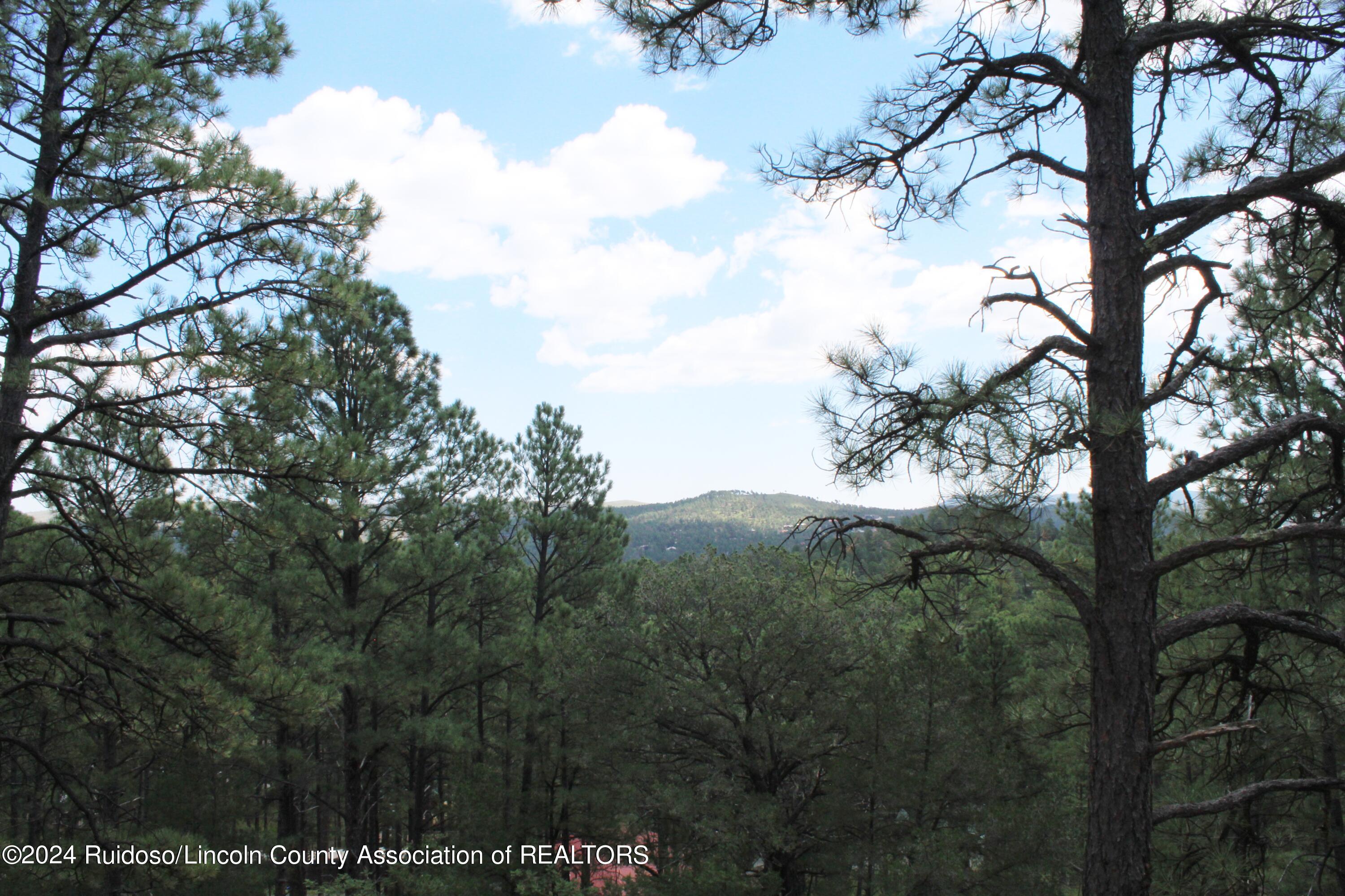 108B Blue Spruce Dr, Ruidoso, New Mexico image 2