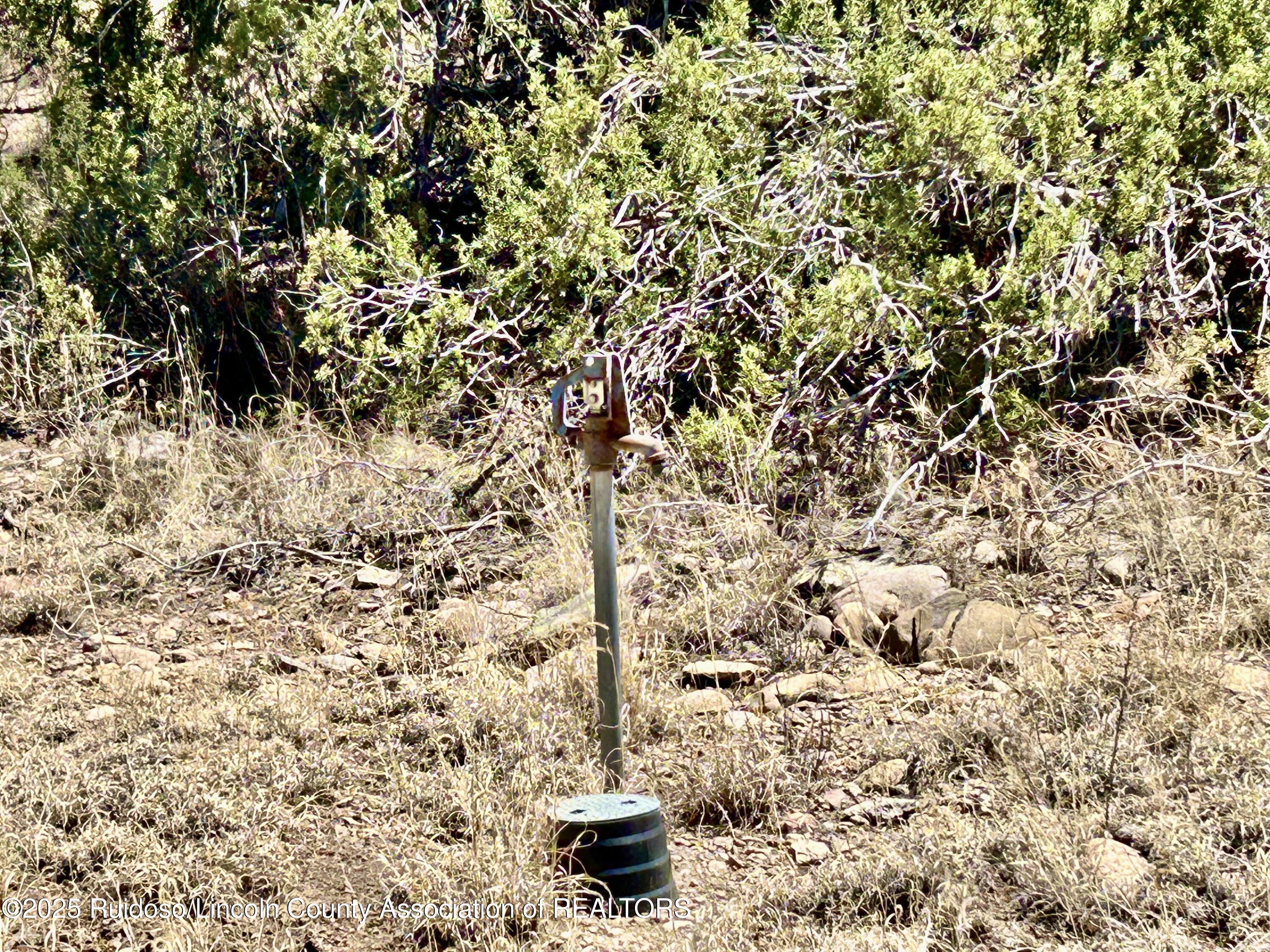 Tr 326-327 Las Estrelas, Alto, New Mexico image 27