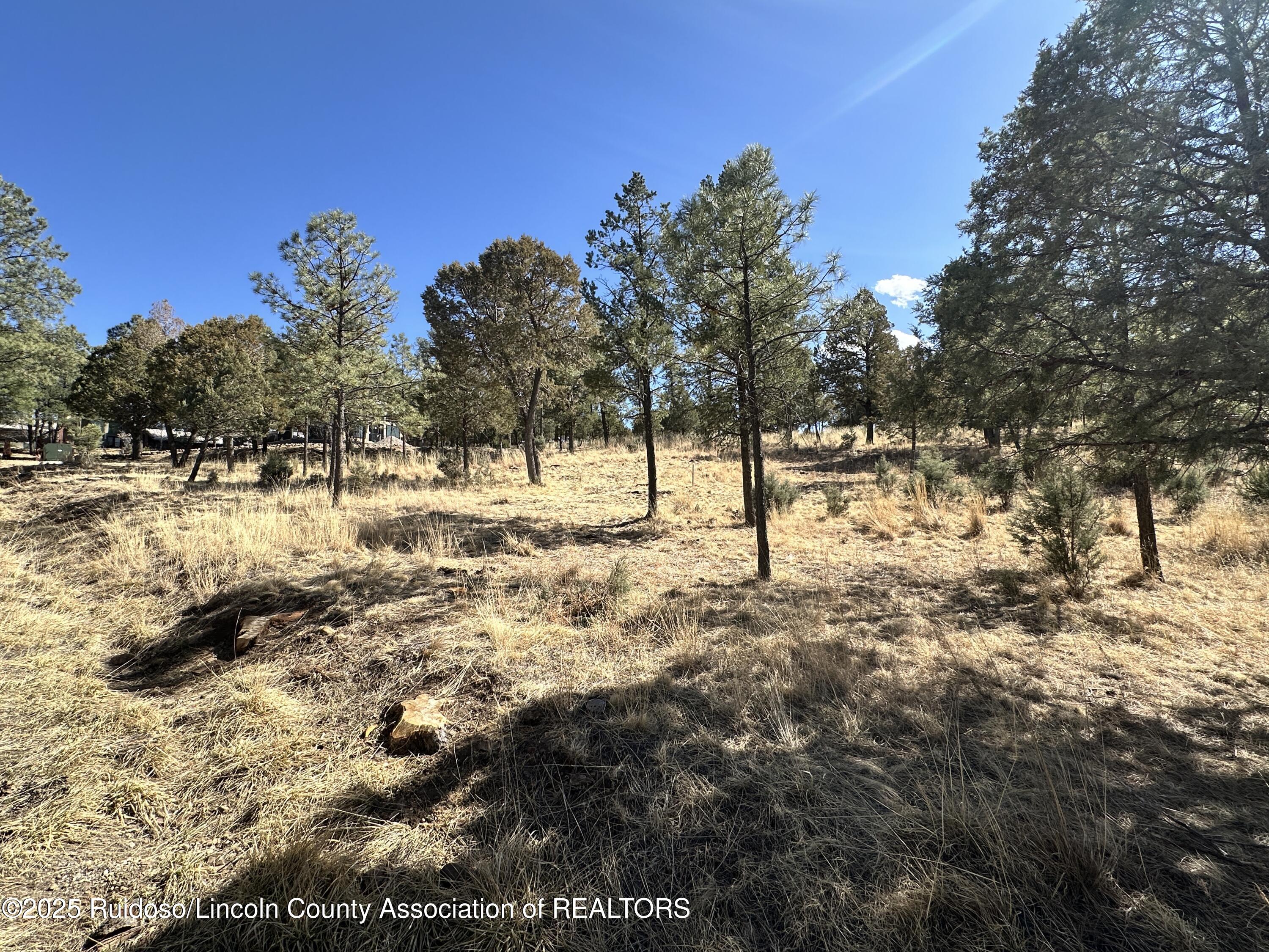 602 Snowcap Drive, Ruidoso, New Mexico image 5