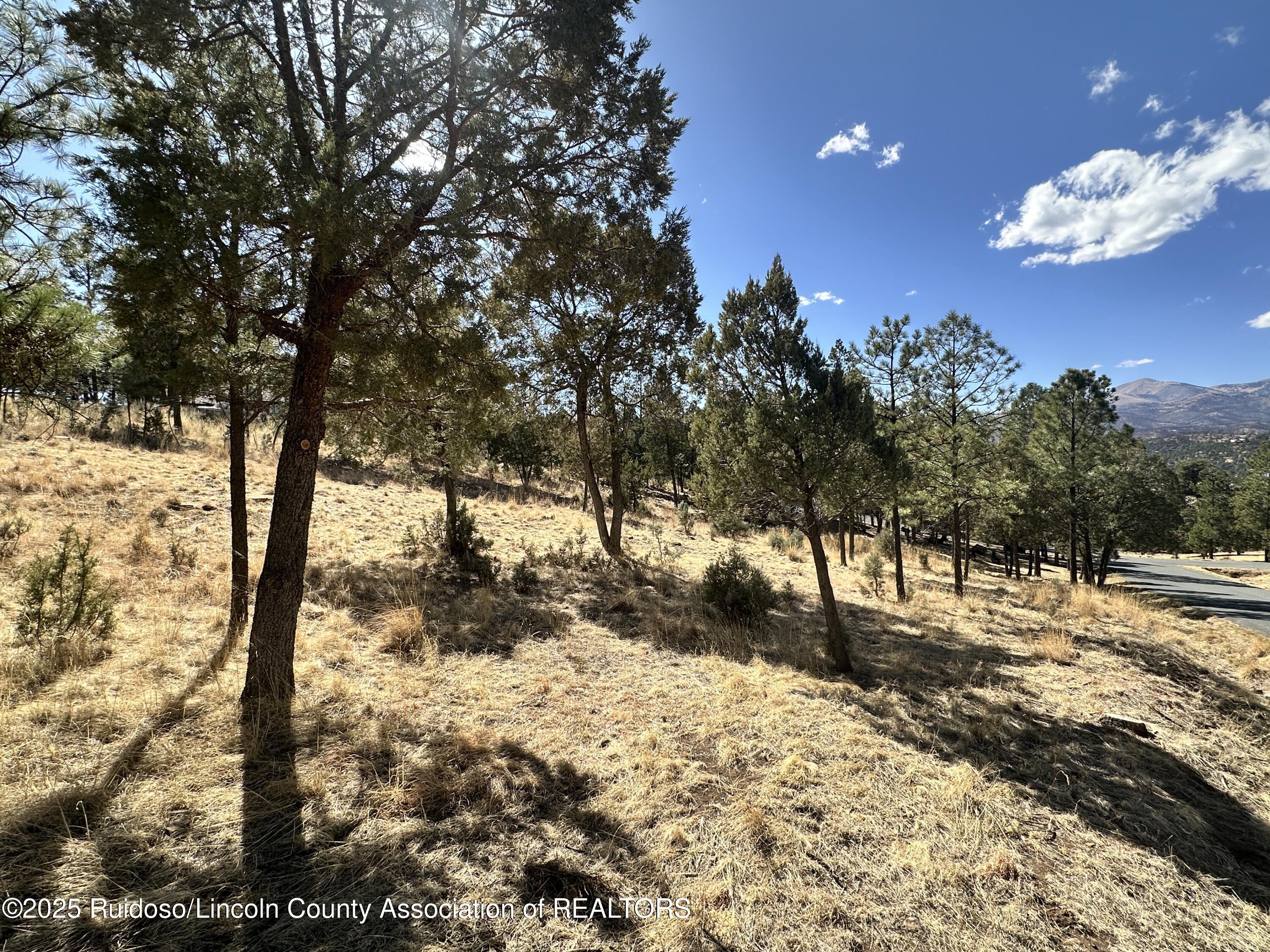 602 Snowcap Drive, Ruidoso, New Mexico image 3