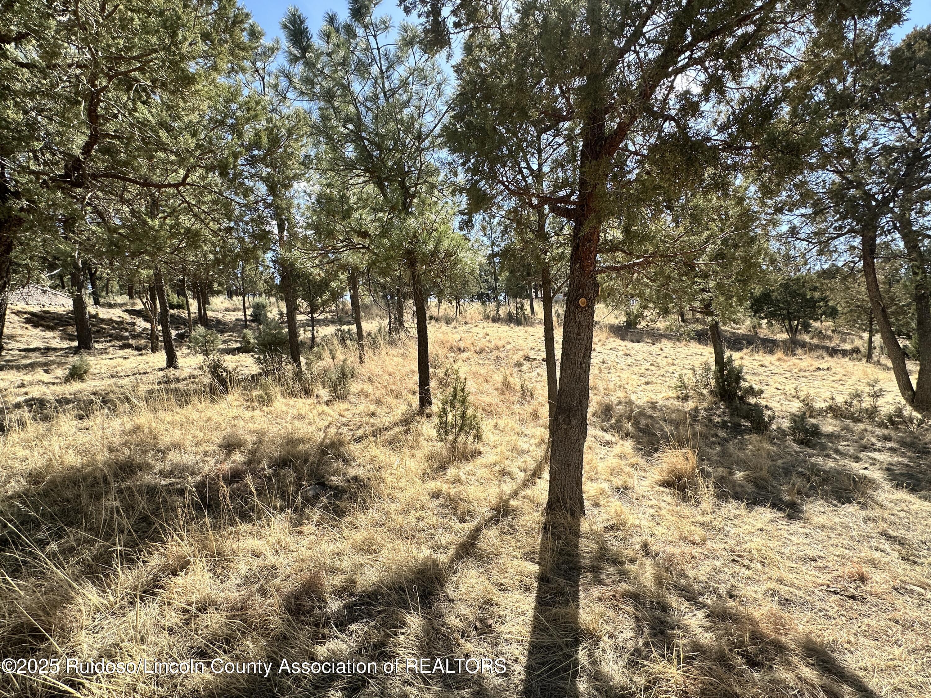 602 Snowcap Drive, Ruidoso, New Mexico image 4