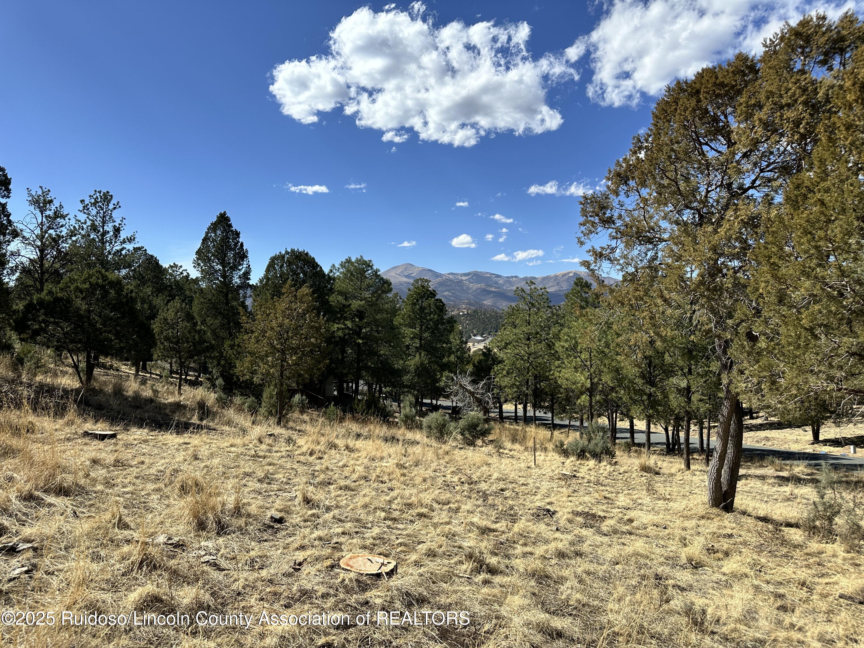 602 Snowcap Drive, Ruidoso, New Mexico image 2
