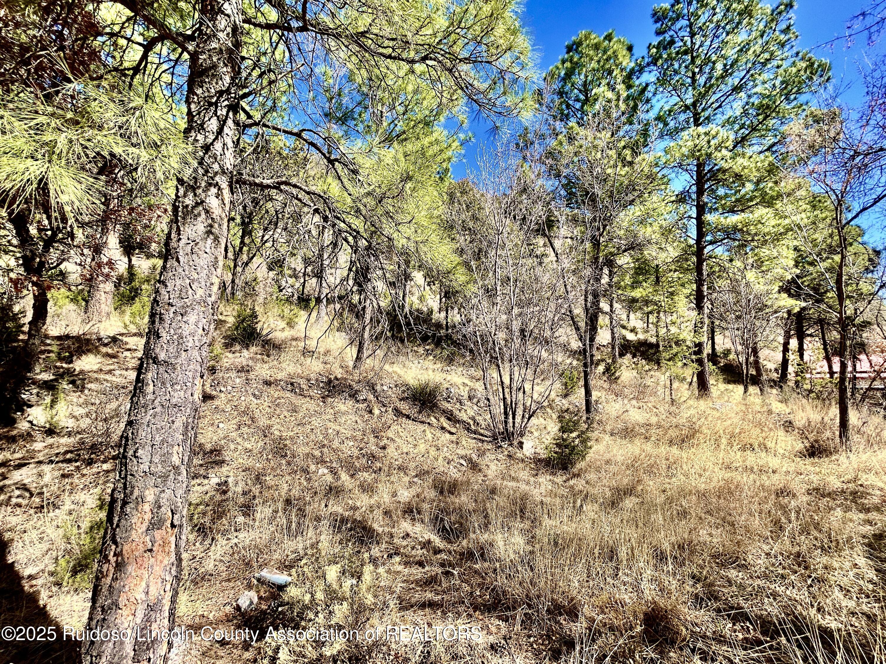 135 Meander Dr, Ruidoso, New Mexico image 7