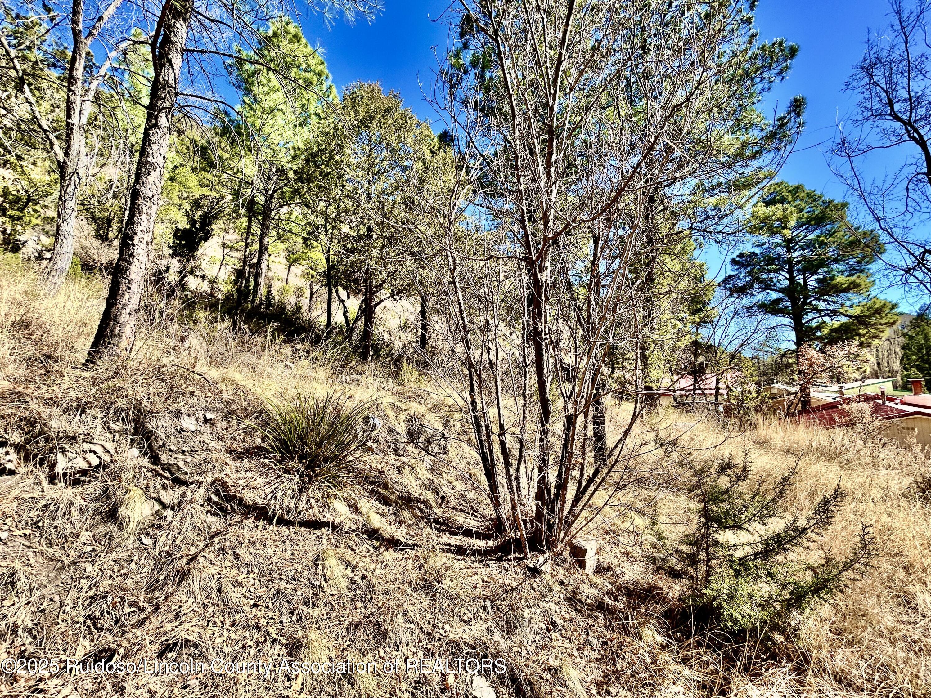 135 Meander Dr, Ruidoso, New Mexico image 9