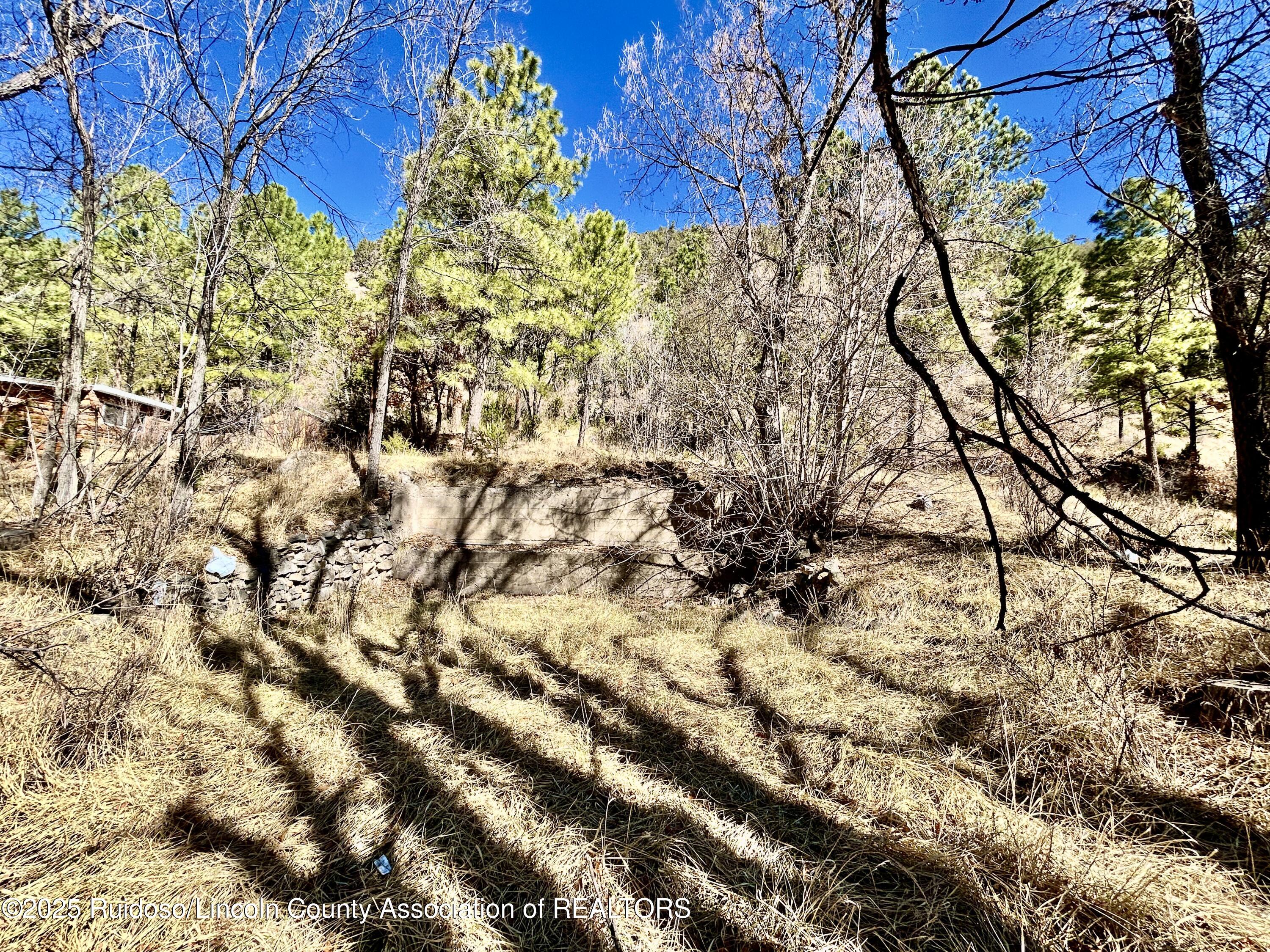 135 Meander Dr, Ruidoso, New Mexico image 3