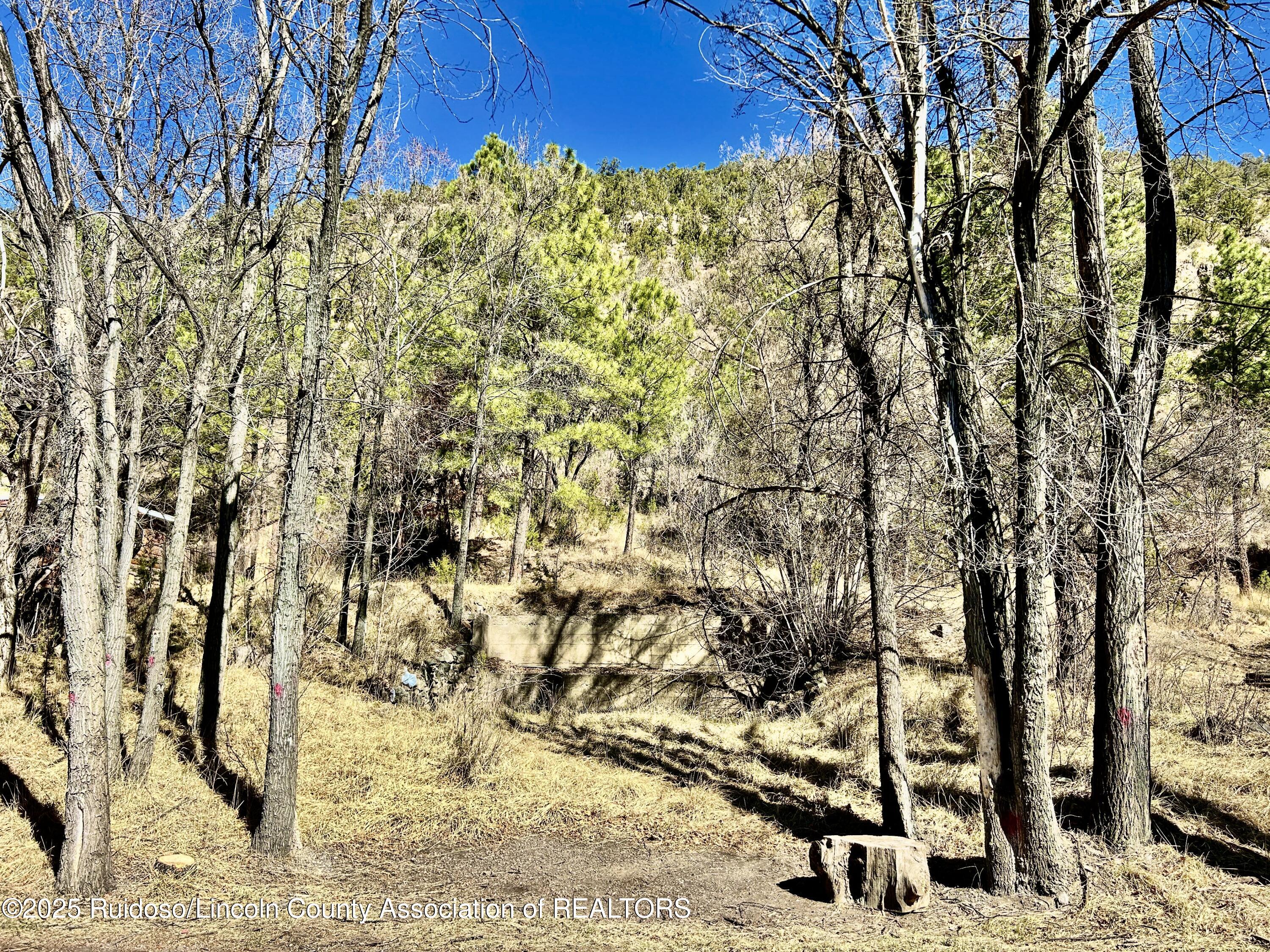 135 Meander Dr, Ruidoso, New Mexico image 1