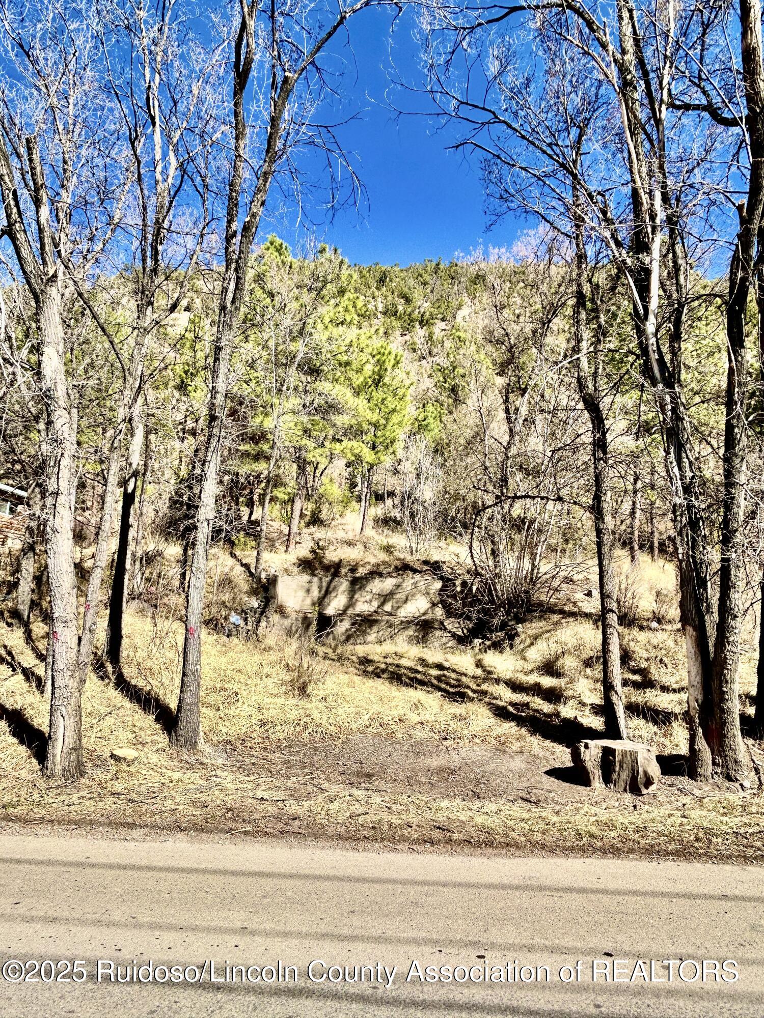 135 Meander Dr, Ruidoso, New Mexico image 18