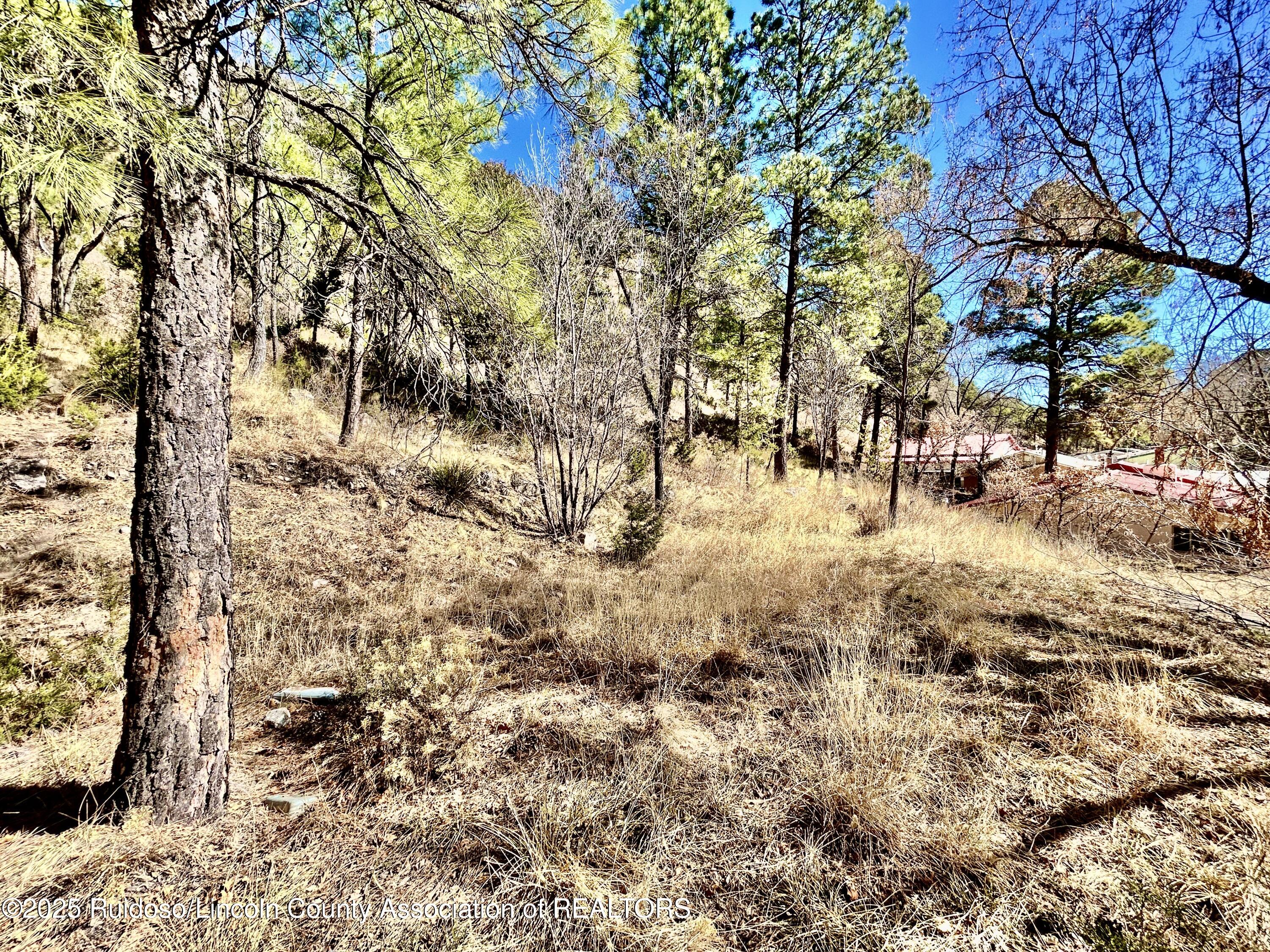 135 Meander Dr, Ruidoso, New Mexico image 6