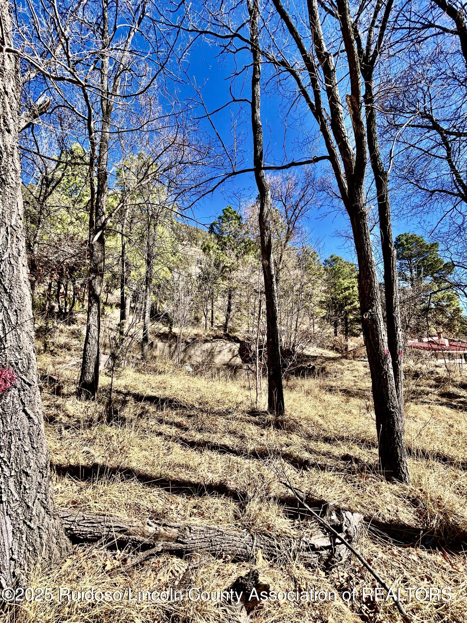 135 Meander Dr, Ruidoso, New Mexico image 2
