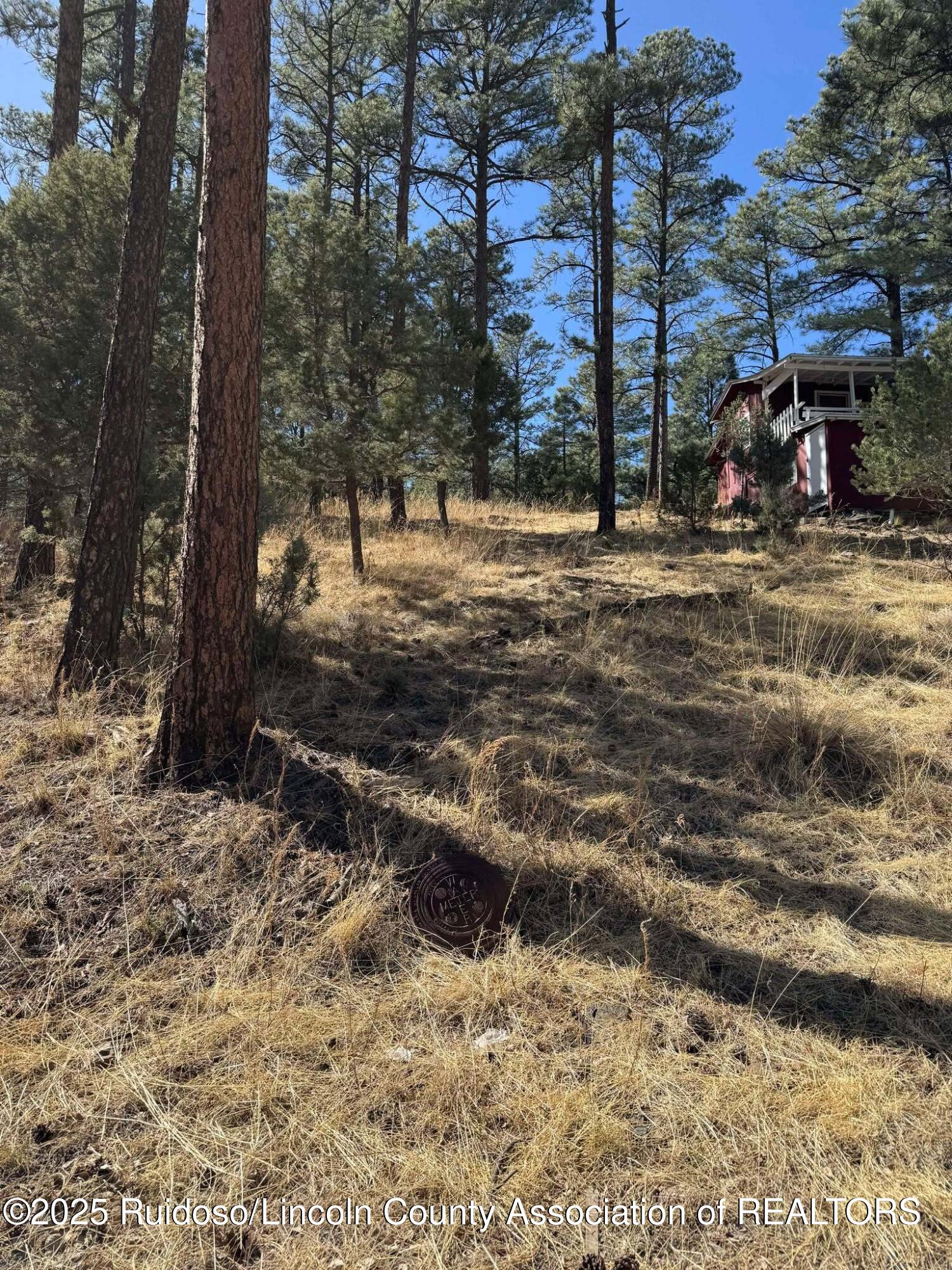 187 Juniper Road, Ruidoso, New Mexico image 4