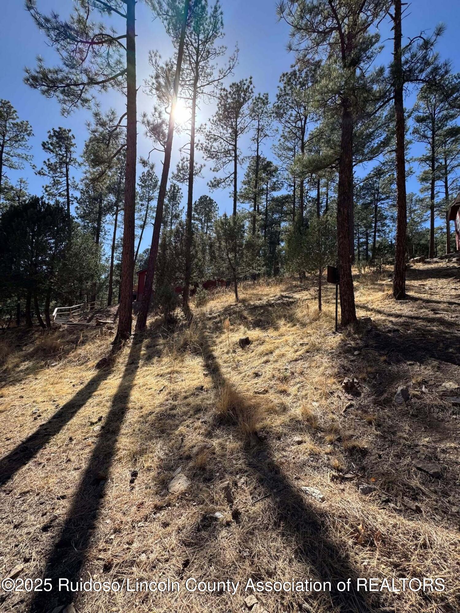 187 Juniper Road, Ruidoso, New Mexico image 2