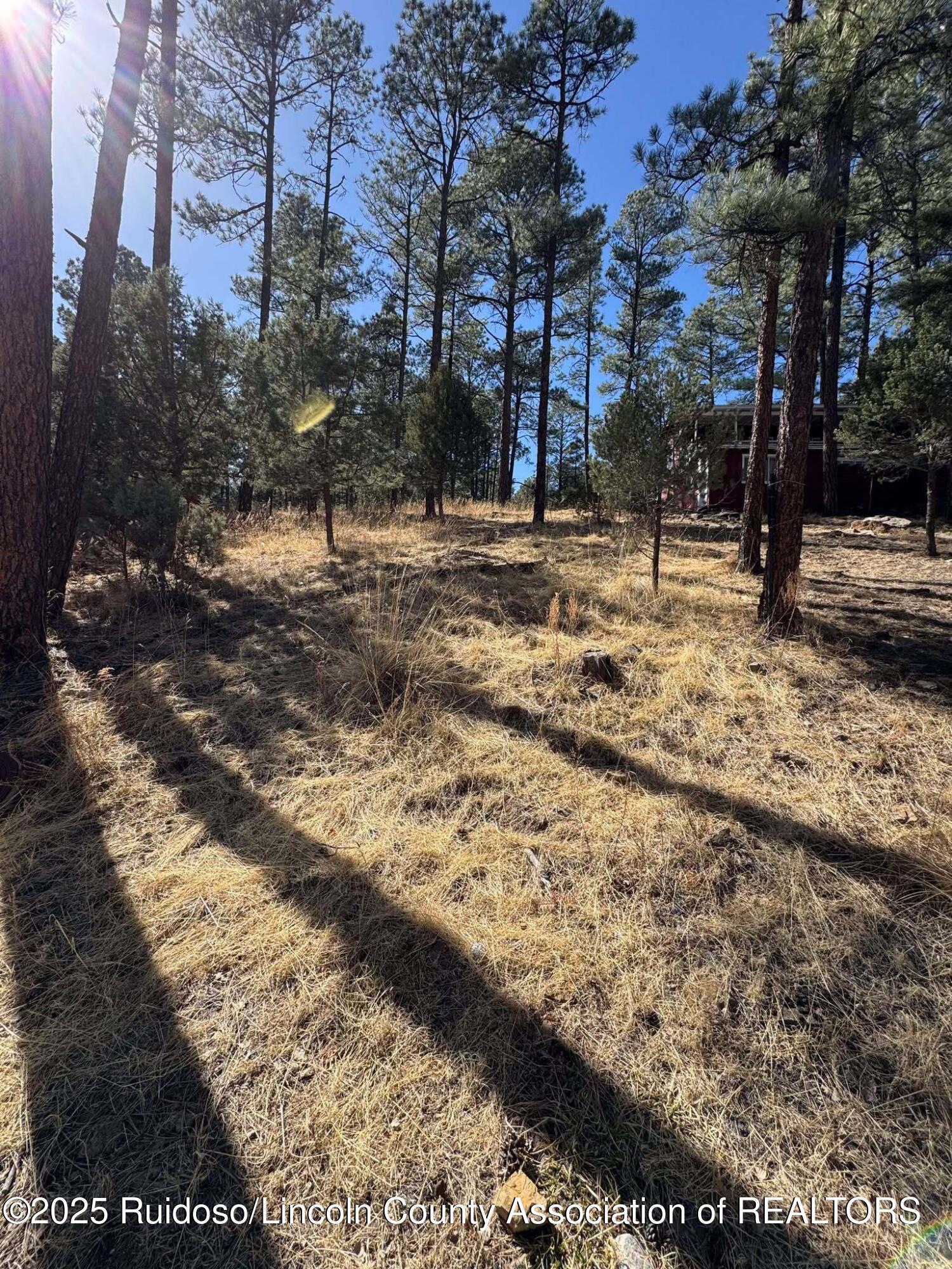 187 Juniper Road, Ruidoso, New Mexico image 1