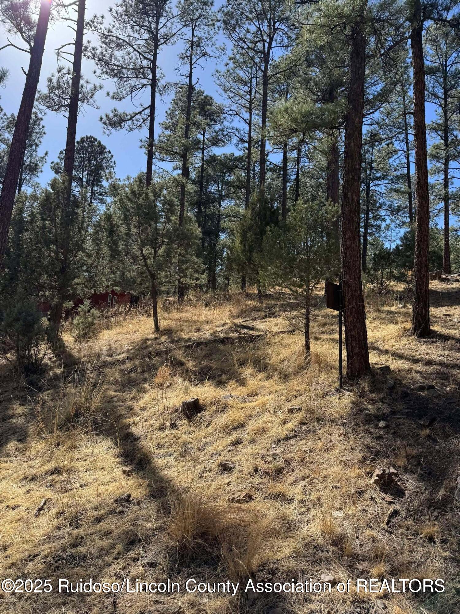 187 Juniper Road, Ruidoso, New Mexico image 3