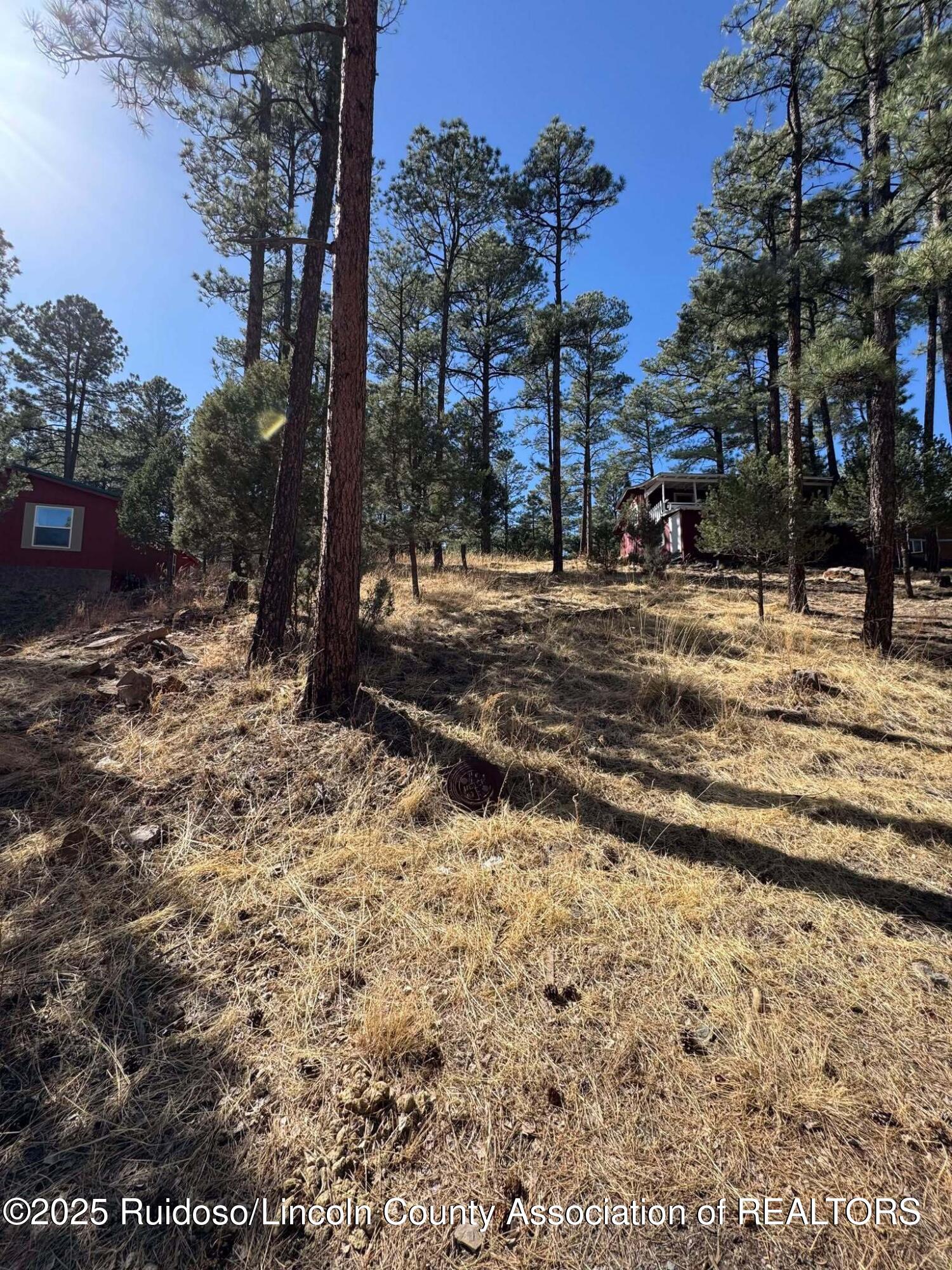 187 Juniper Road, Ruidoso, New Mexico image 5