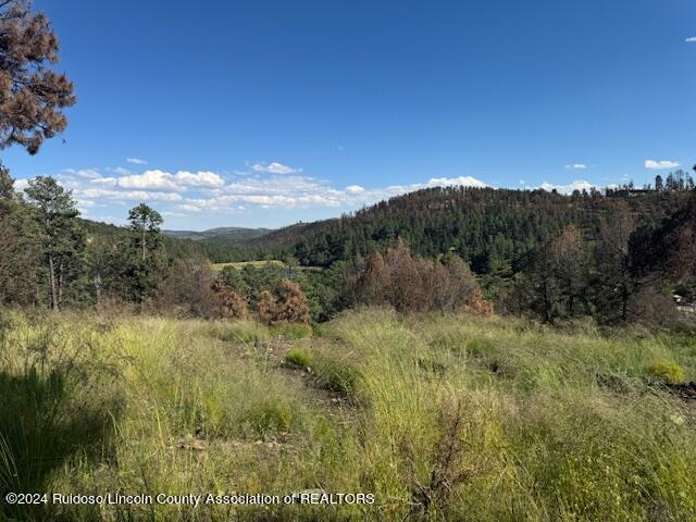 132 Sunset Drive, Alto, New Mexico image 3