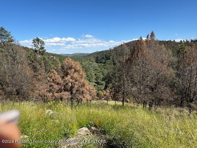 132 Sunset Drive, Alto, New Mexico image 7