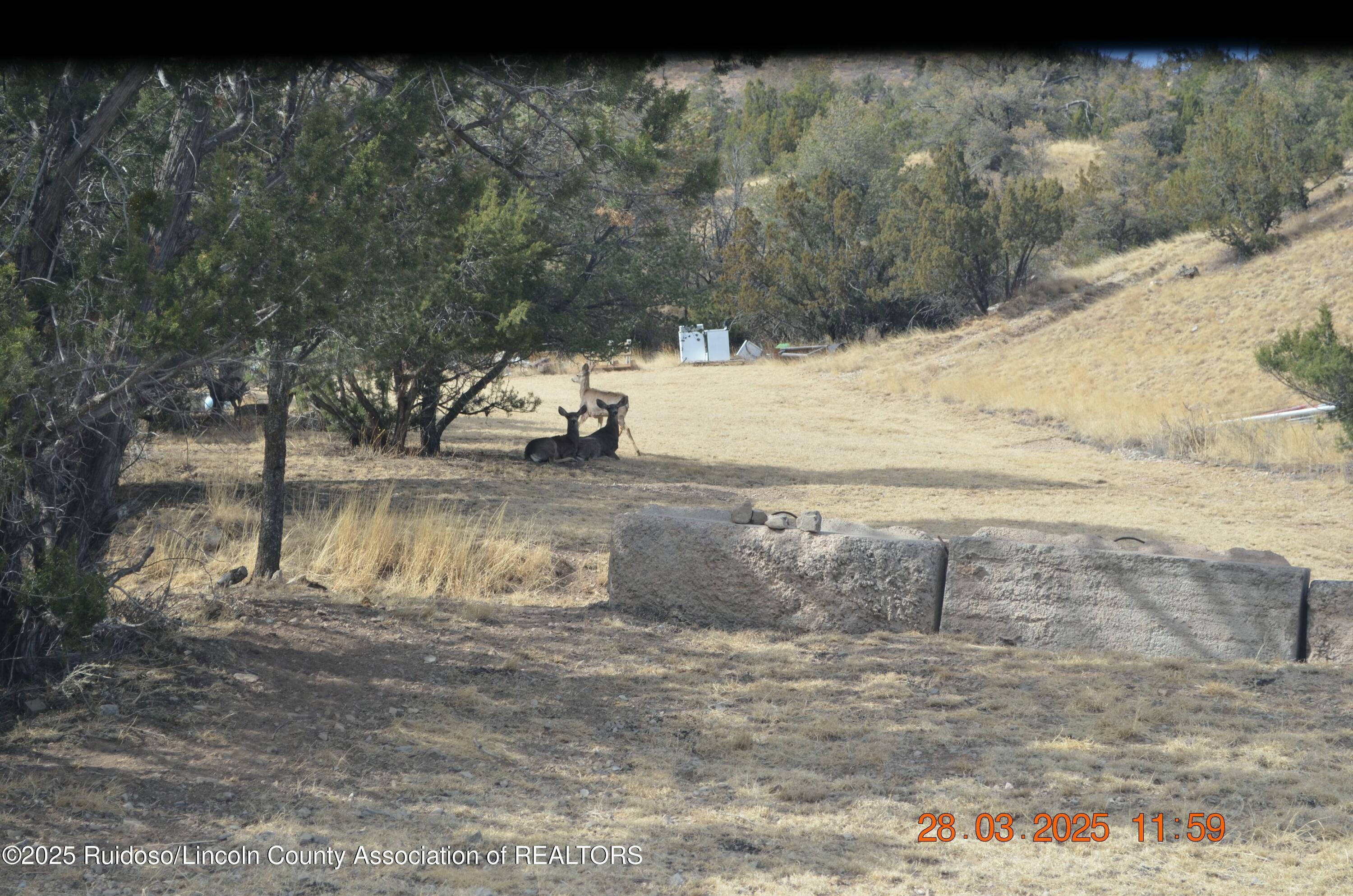 302 Parker Road, Ruidoso Downs, New Mexico image 4