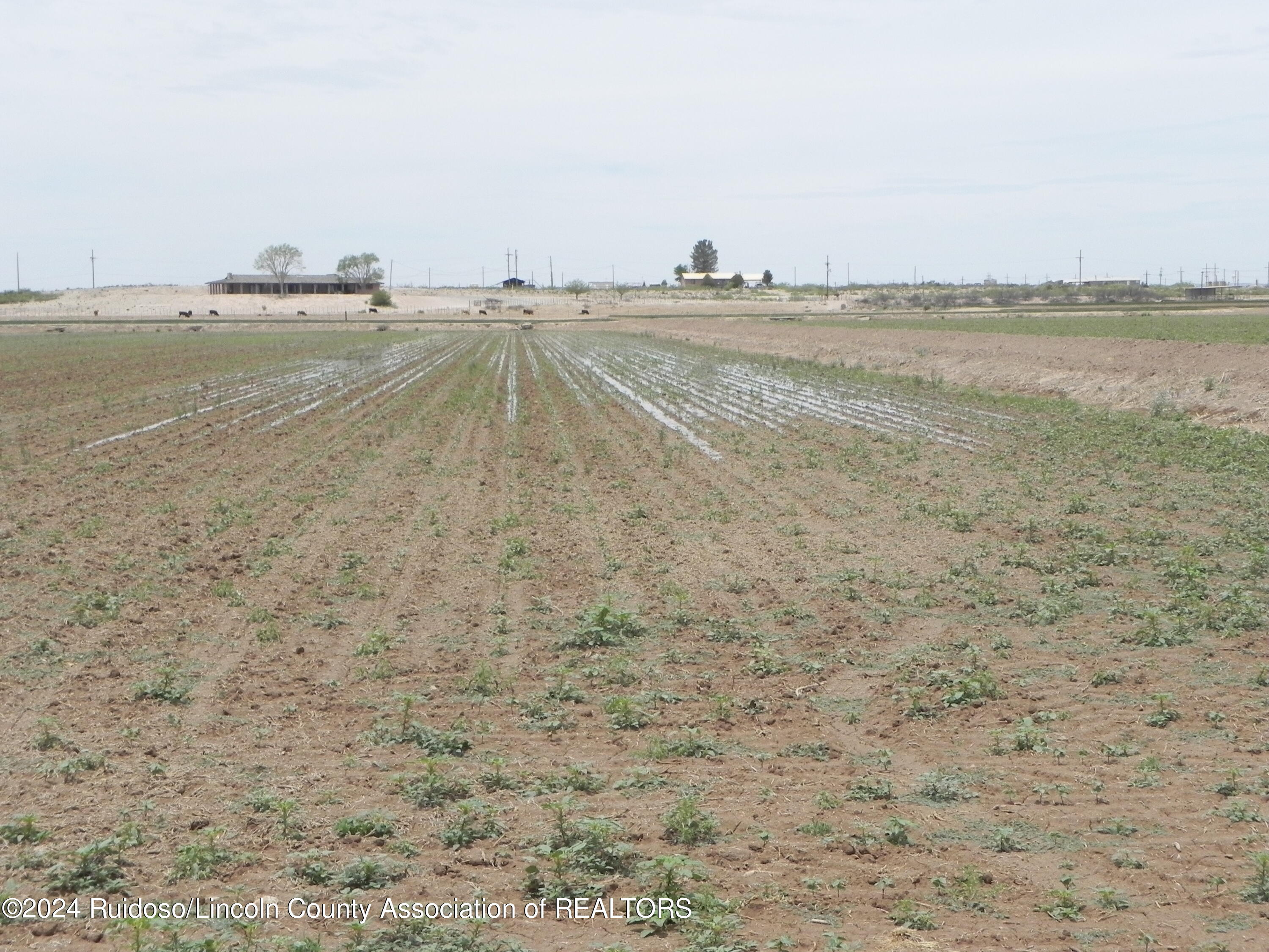 34 Kelly Road, Carlsbad, New Mexico image 21