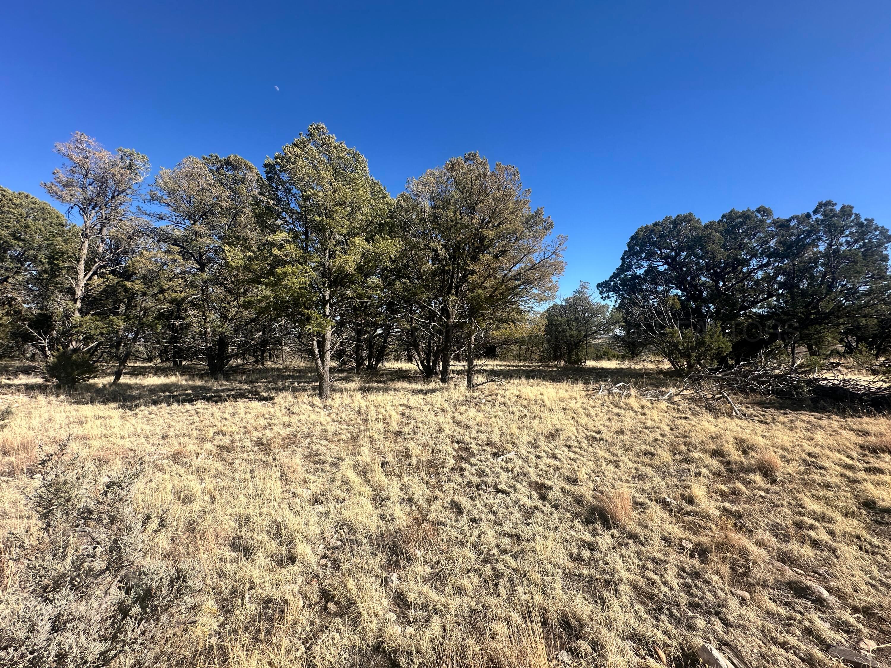 Lot 27 Copper Vista Lane, Alto, New Mexico image 3