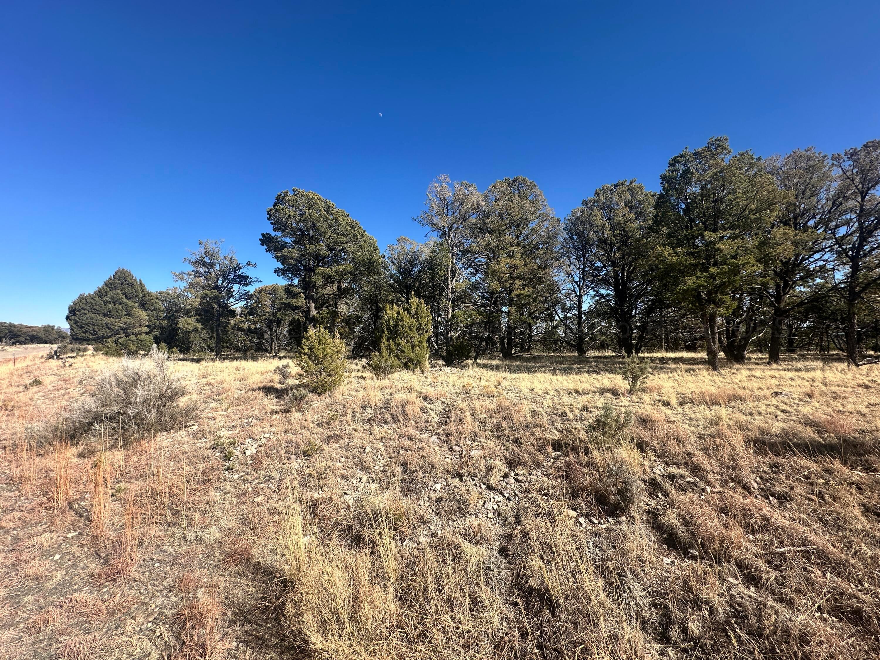 Lot 27 Copper Vista Lane, Alto, New Mexico image 2