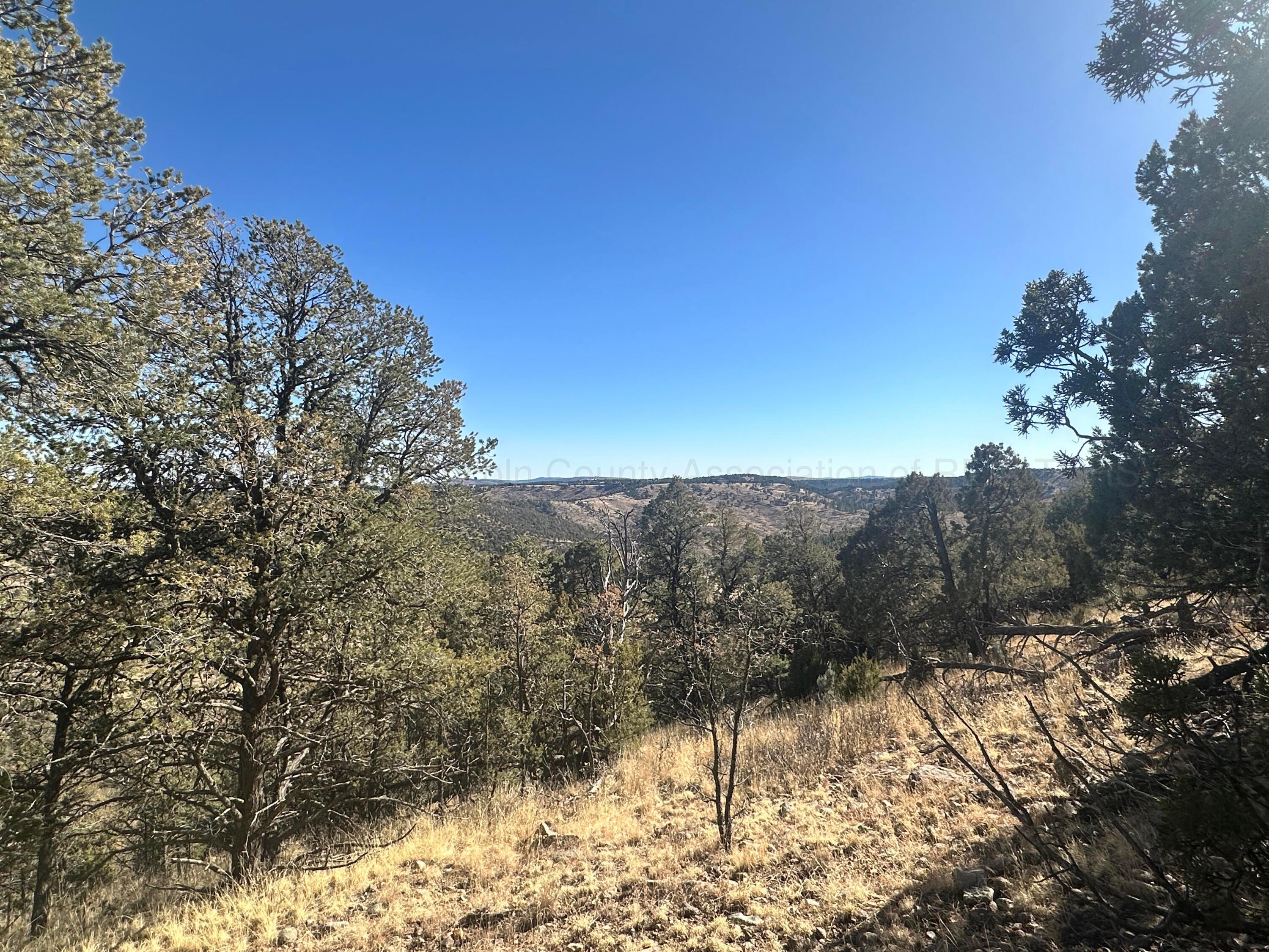 Lot 27 Copper Vista Lane, Alto, New Mexico image 4