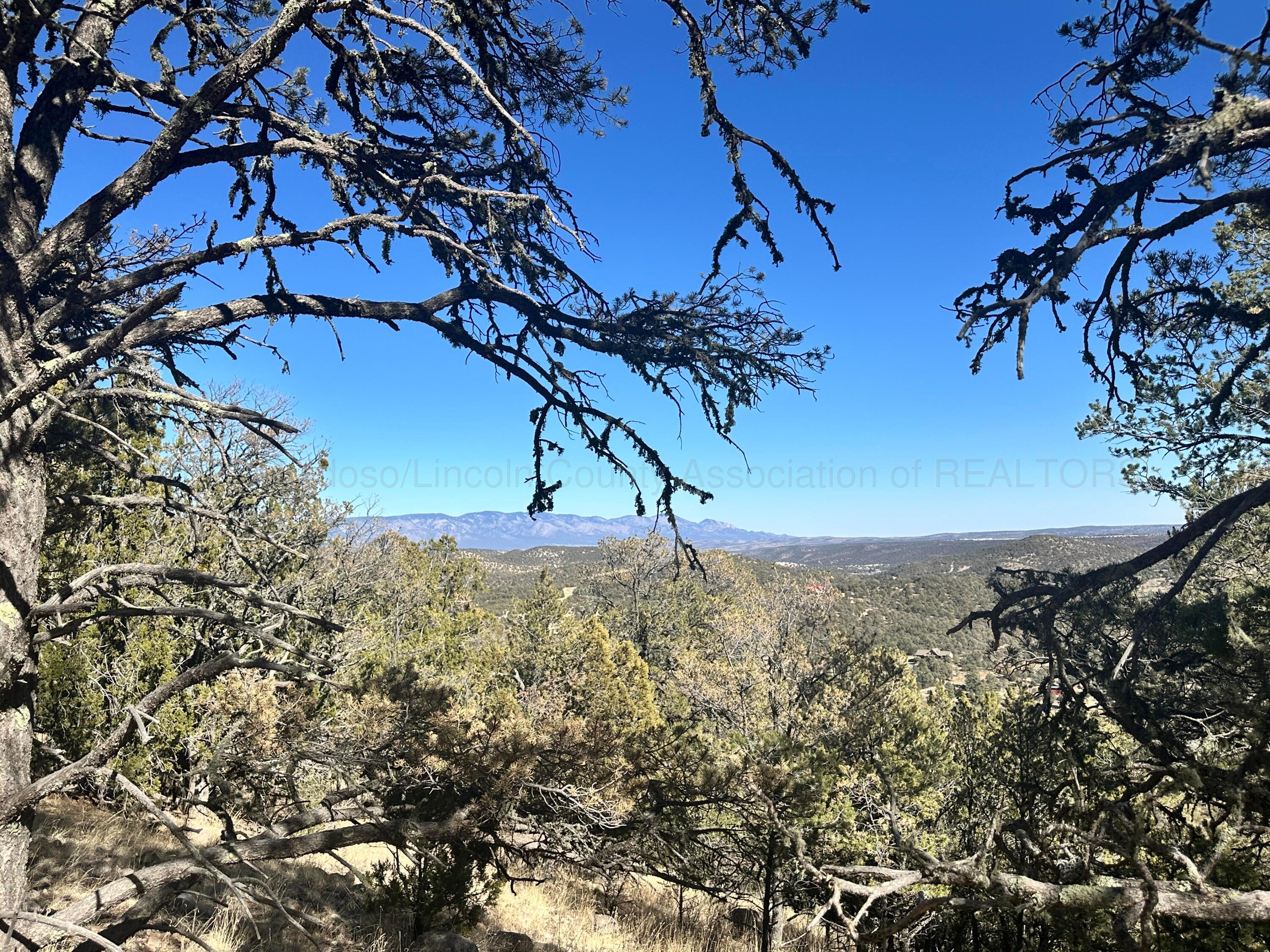 Lot 27 Copper Vista Lane, Alto, New Mexico image 5