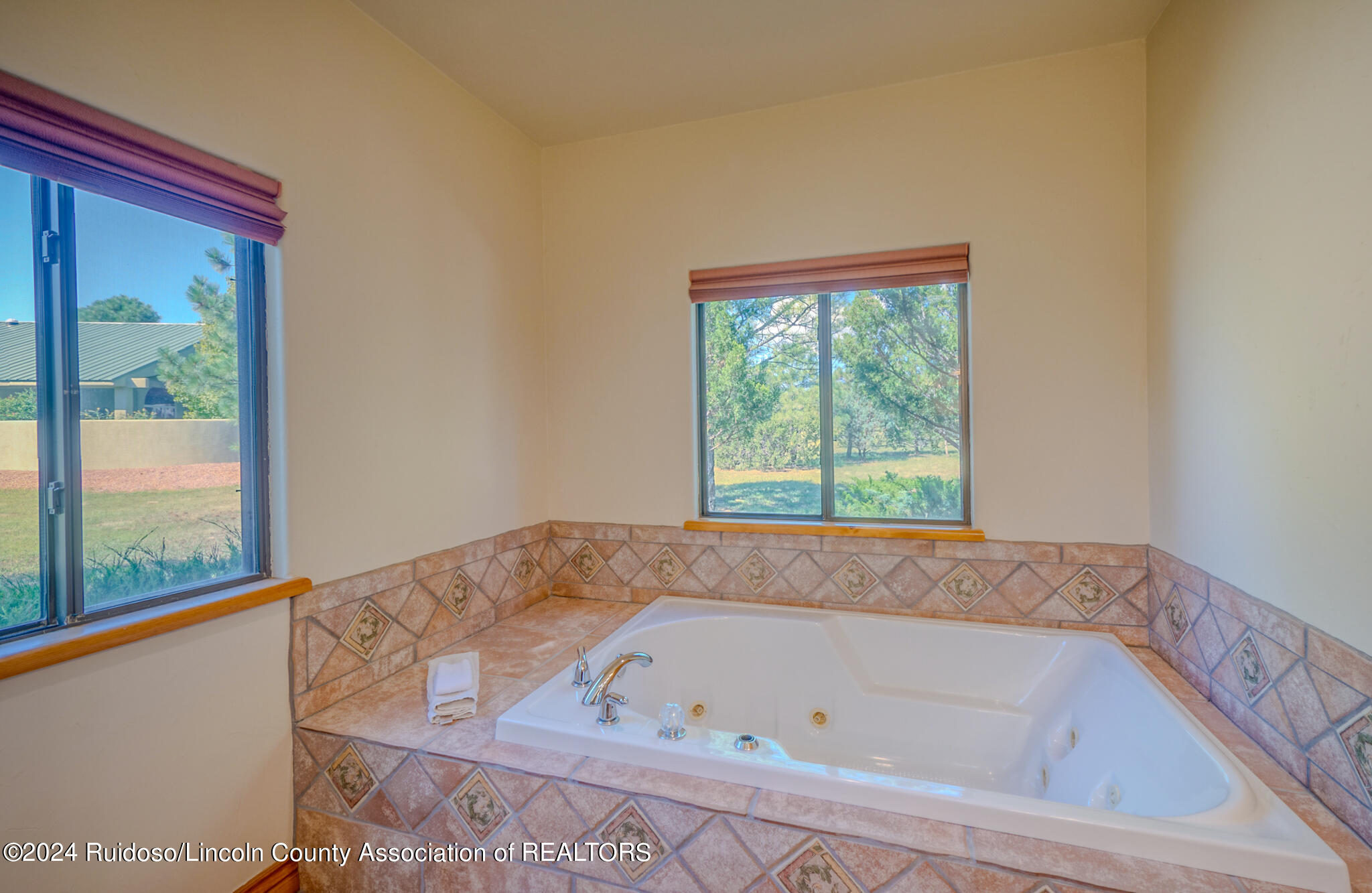 103 Sunflower Court, Alto, New Mexico image 33