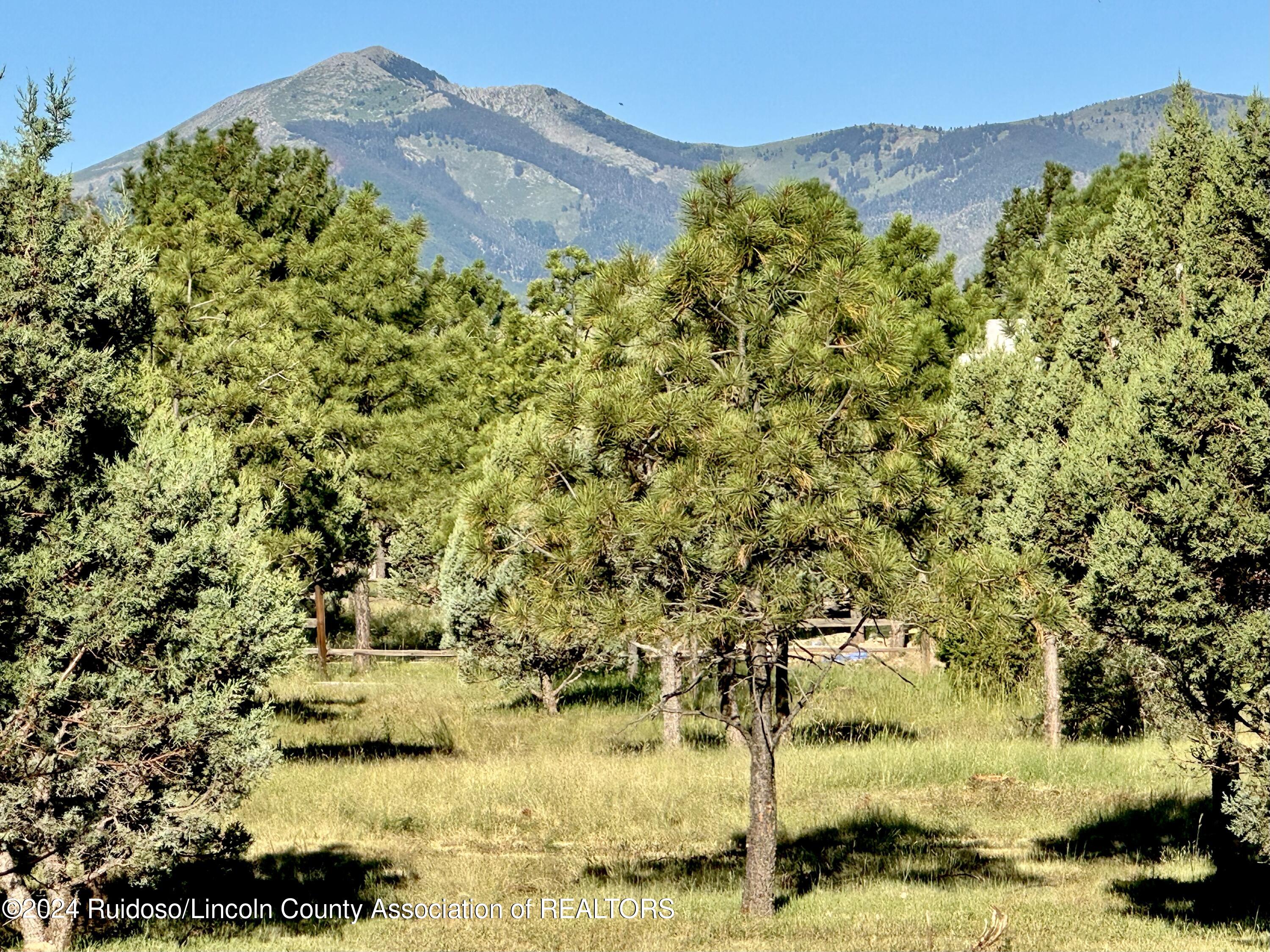 103 Sunflower Court, Alto, New Mexico image 4