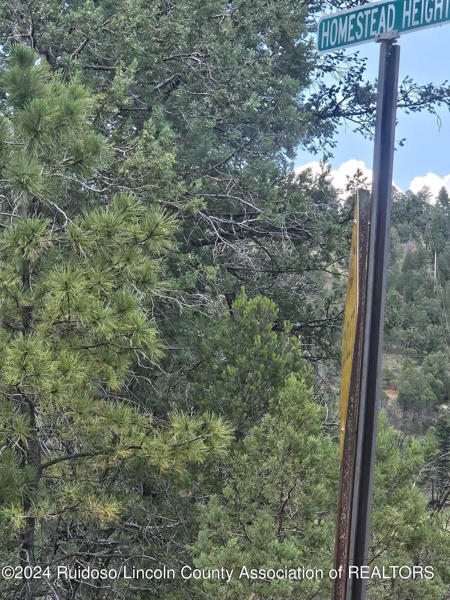 LOT 6 & 7 Homestead Heights Drive, Ruidoso, New Mexico image 18