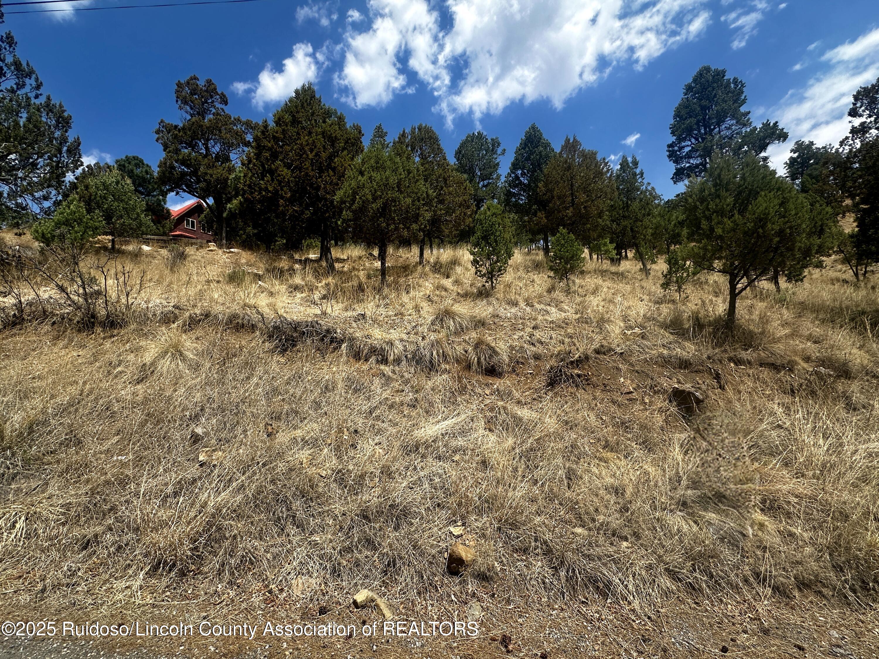 200/202 W Redwood Drive, Ruidoso, New Mexico image 5